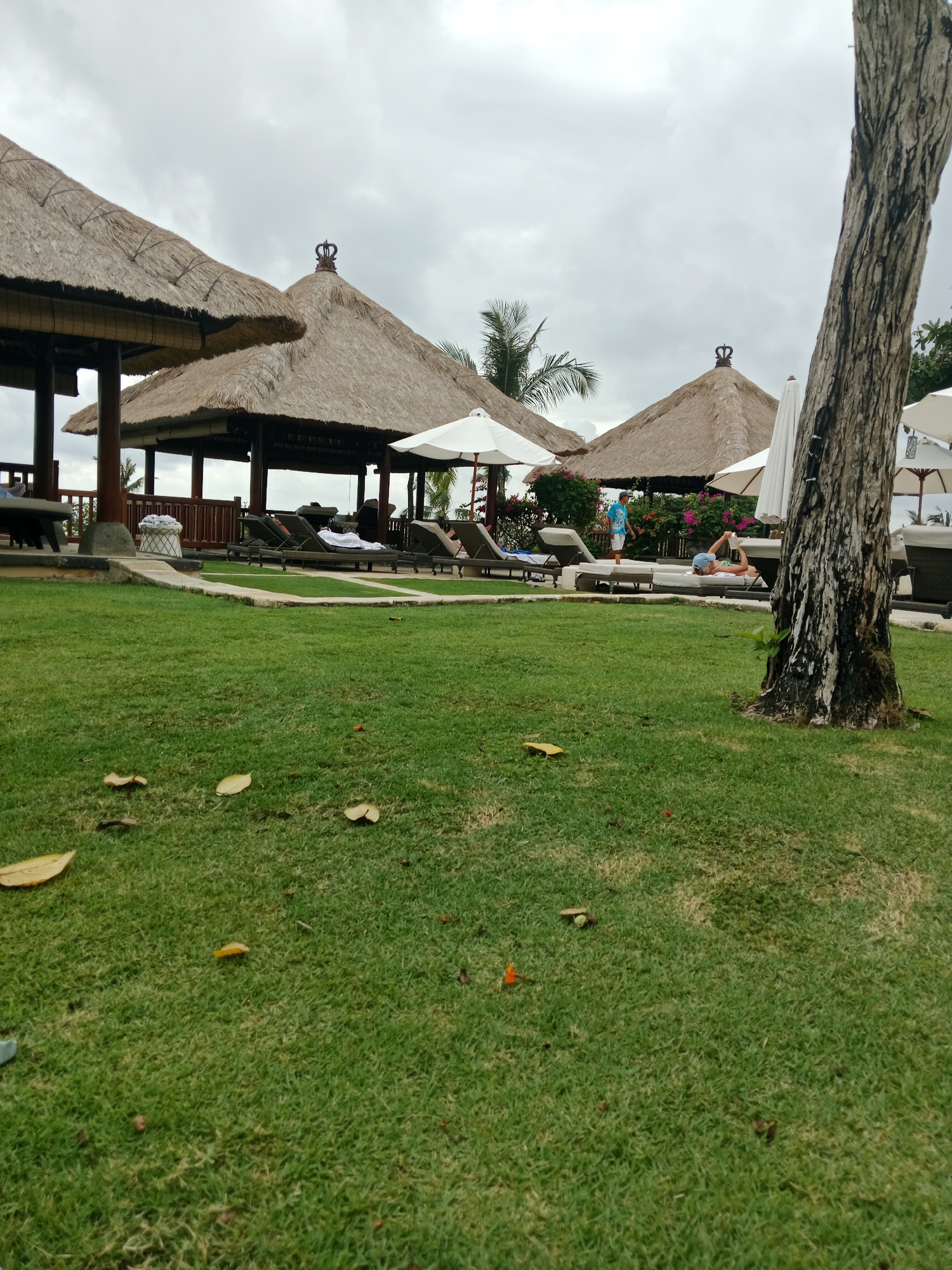 The image depicts an outdoor resort area in Kuta Selatan, Indonesia, under an overcast sky. In the foreground, a lush green lawn is dotted with a few fallen leaves. Several thatched-roof gazebos with decorative crowns are visible, supported by dark wooden posts. White umbrellas are set up near lounge chairs. Two individuals are present: one person in a blue shirt stands near the gazebos, and another person in a light-colored top and blue cap reclines on a lounge chair in the middle ground, looking at a book. A large tree trunk with rough bark is prominent on the right side of the frame. The overall scene suggests a tropical resort environment with amenities for relaxation.