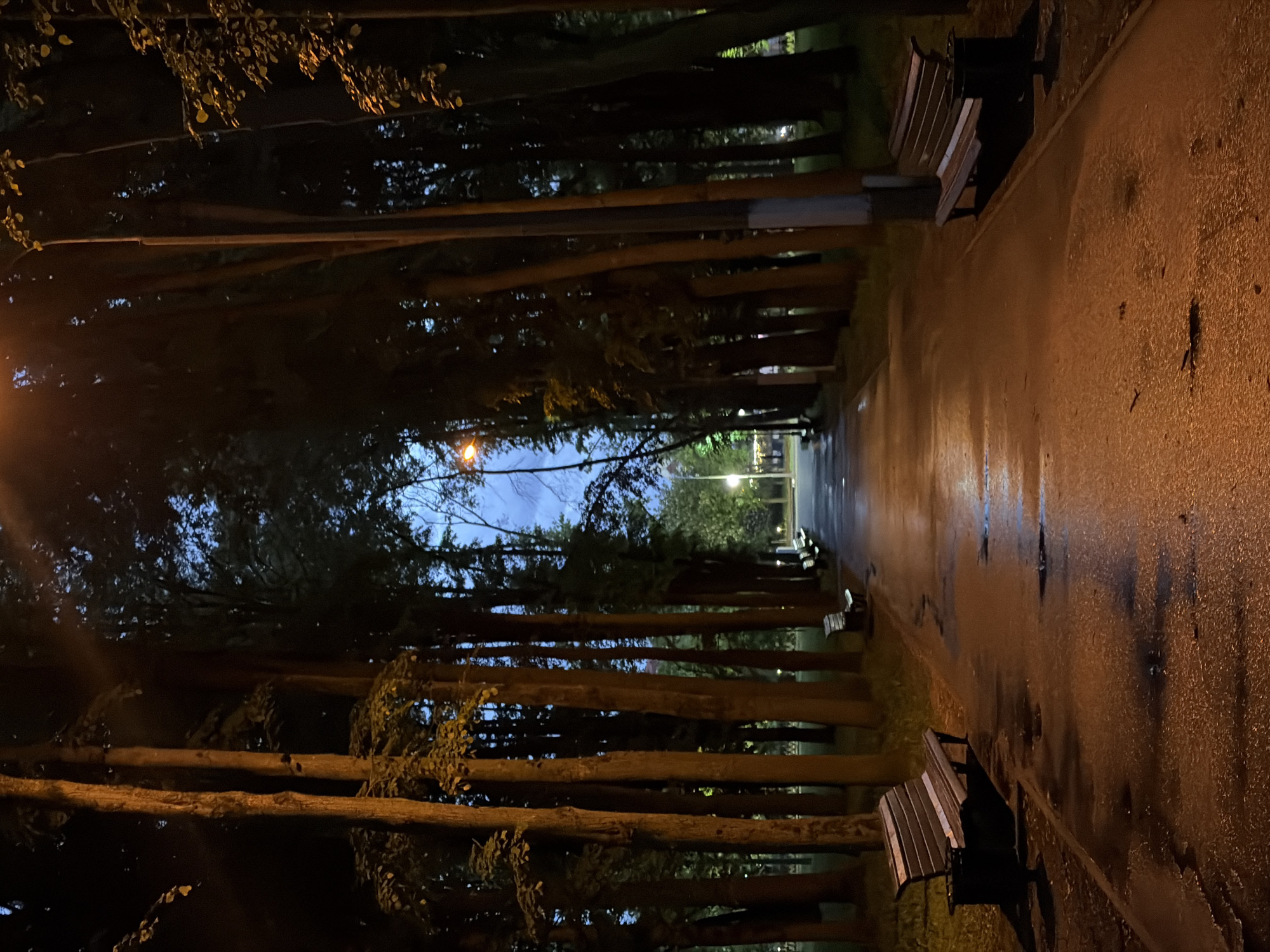 The image shows a wet, paved pathway at night, bordered by trees and park benches. The location is likely a park in Minsk, Belarus. The trees line both sides of the path, creating a tunnel-like effect, with a faint light source visible in the distance. Benches are placed along the side of the path, facing the trees. The paving appears damp and reflects the light. No people are visible.