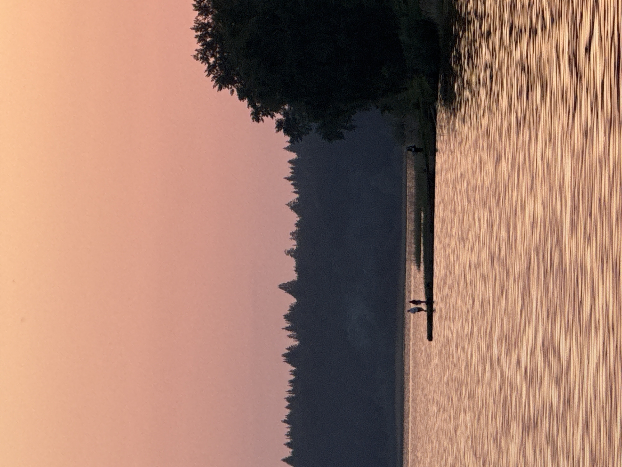 A horizontally oriented image depicts a sunset scene at a waterfront location in Votkinsk, Russia. To the left, the sky transitions from a pale orange to a soft pink hue. A dense forest line stretches along the central portion of the image, comprised of dark green trees. A narrow pier extends into the water, with at least one person standing on it. The water's surface reflects the sunset, displaying a textured pattern of light and shadow.