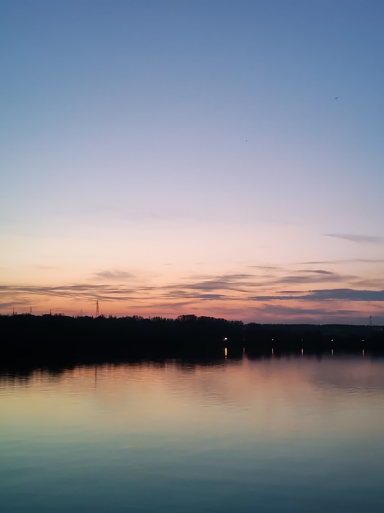 The image shows a body of water, likely a lake or wide river, reflecting the colors of the twilight sky. The sky transitions from a light blue at the top to a mix of orange, pink, and gray near the horizon, suggesting either sunrise or sunset. A dark silhouette of trees and possibly some buildings runs along the horizon. Light sources, likely from buildings or streetlights, are reflected in the water as vertical streaks of light. Two small dark objects that are likely birds are visible in the sky. The location is Сигнал Снт, Russia.