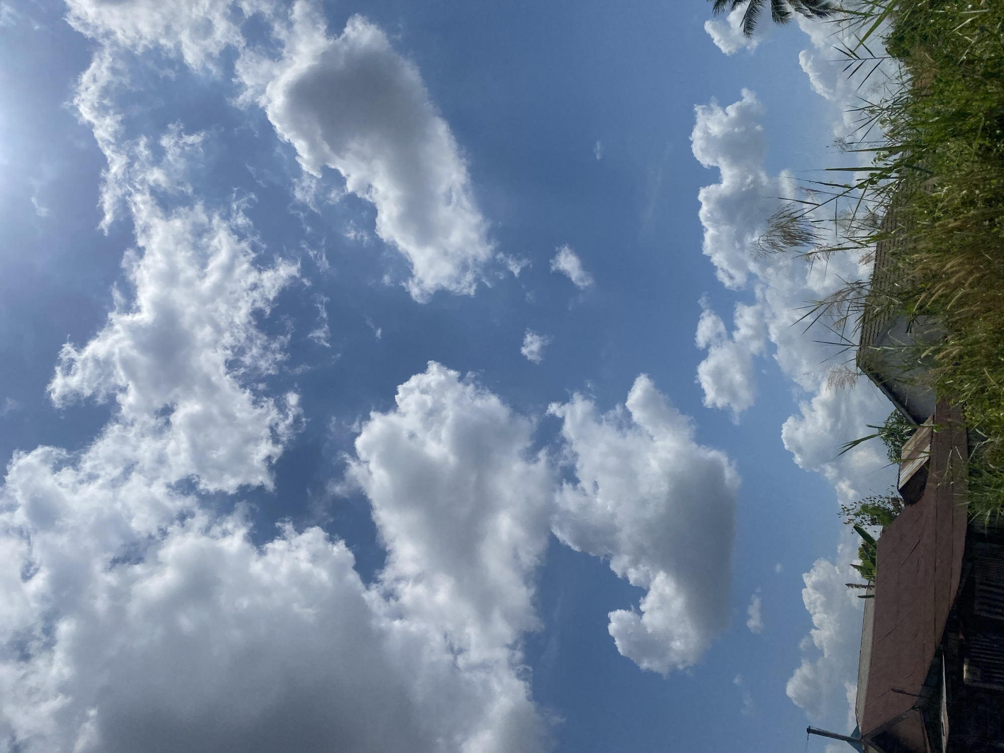 The image shows a bright, sunny day in Berangas Timur, Indonesia, with a clear blue sky filled with fluffy white cumulus clouds. The sun is visible in the upper right corner of the image, casting a slight glare. In the foreground, the roofs of several houses are visible, some with weathered, rusty corrugated metal roofs and others with lighter colored tiles. Tall green grass and reeds grow in front of the houses, obscuring some of the lower structures. A palm tree is partially visible on the far right edge of the image. There are no people or animals visible in the scene. The overall impression is of a peaceful, rural or semi-rural setting on a pleasant day.