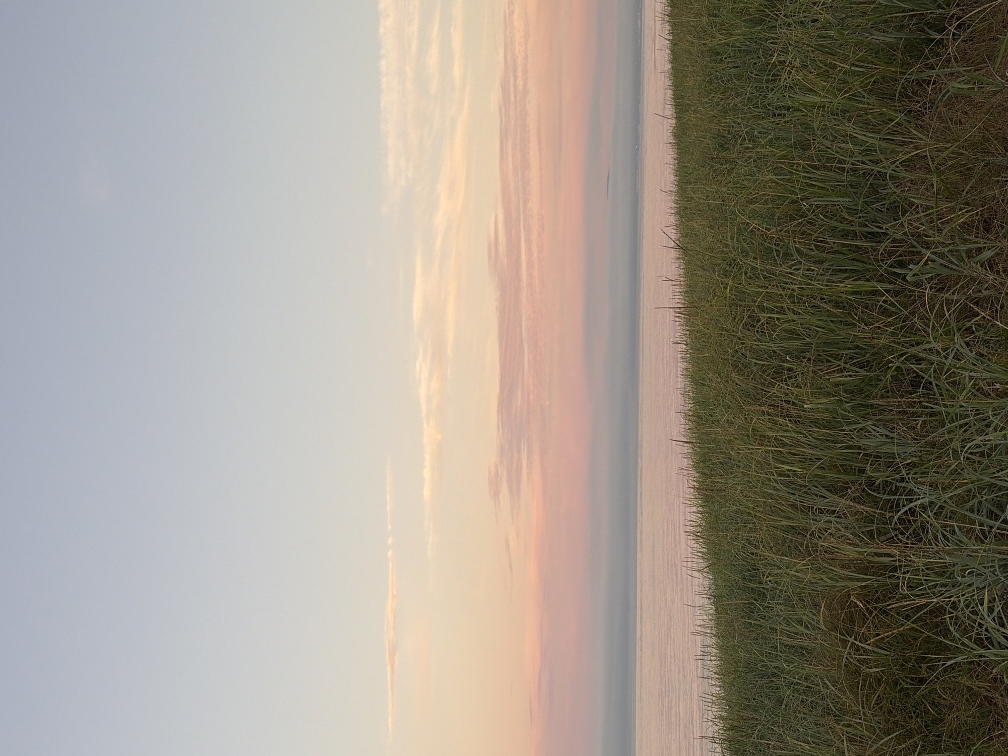 A vast expanse of tall, green grass dominates the foreground of this landscape image. The grass is densely packed and extends from the bottom edge of the frame upwards, with individual blades clearly distinguishable, creating a textured, natural barrier. Beyond the grass, a body of calm water stretches horizontally across the middle of the image. The water has a muted, reflective surface, appearing as a pale pinkish-grey. A faint, hazy layer hangs just above the water's surface, obscuring the horizon. The sky above is a gradient of soft colors, transitioning from a pale blue at the top to delicate shades of pink and orange closer to the horizon, indicative of a sunrise or sunset. Thin, wispy clouds are scattered across the pink and orange hues. There are no people or man-made structures visible in the frame. The scene depicts a natural coastal environment. The location of Ozerskoe, Russia is not discernible from the visual information provided in the image.