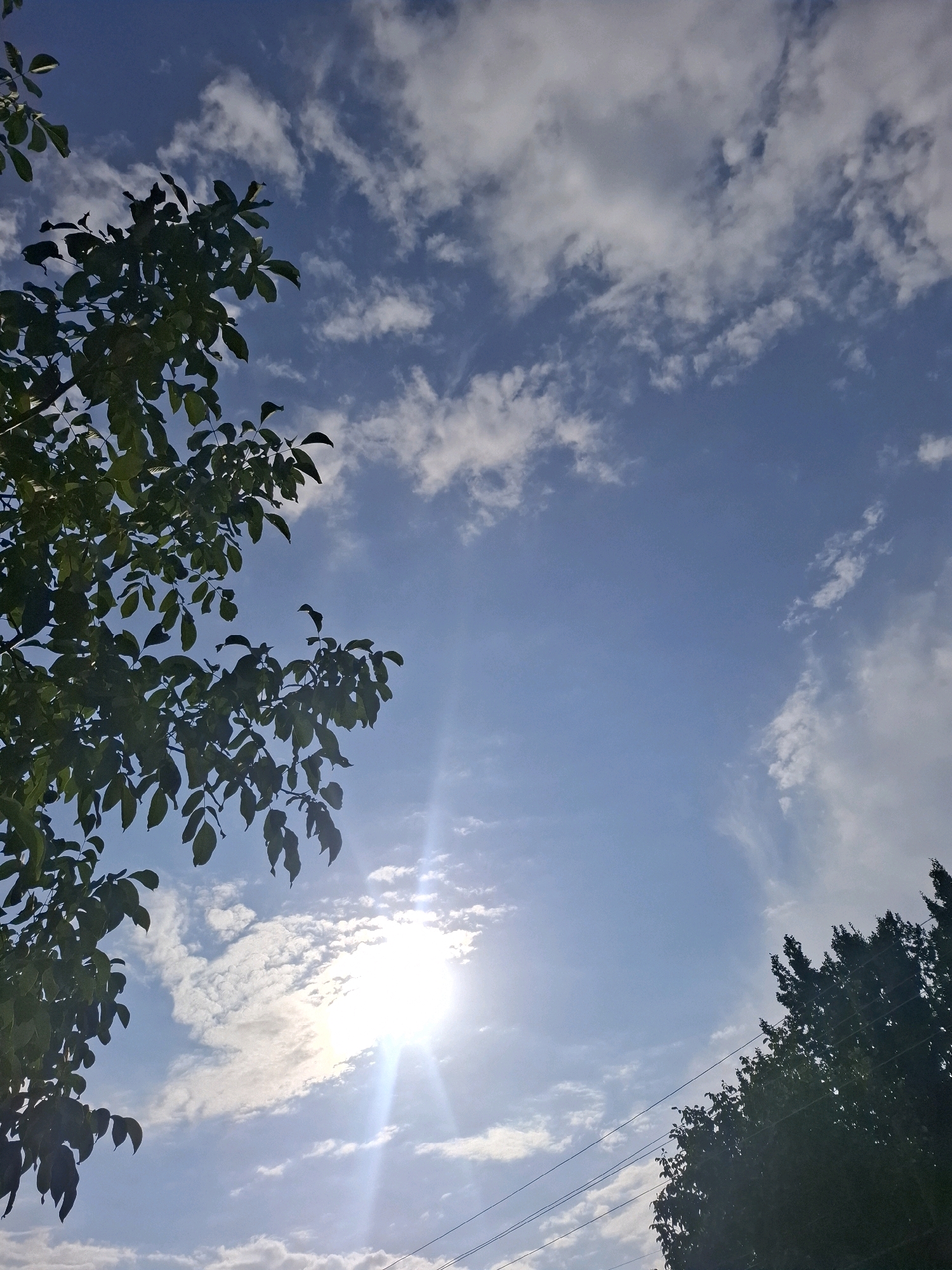 The image shows a bright, partly cloudy sky above a leafy tree branch in the foreground, with a dense, dark green tree line and power lines in the background. The sun is visible, shining brightly through the clouds and casting lens flare. The image appears to be taken outdoors, likely in Almaty, Kazakhstan, given the context. There are no people or animals visible in the scene.
