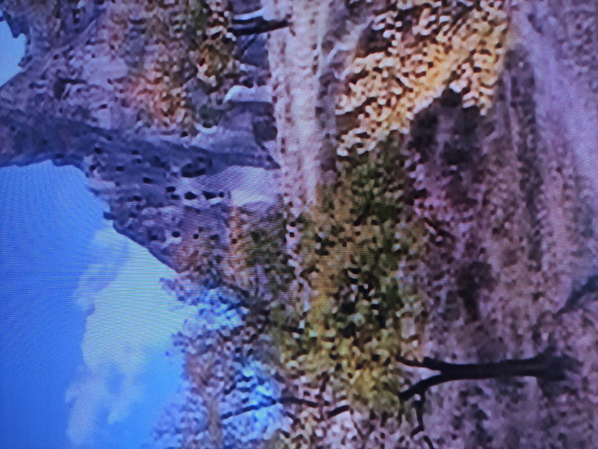 The media file consists of an original image and several cropped sections, all displaying a low-resolution, blurry photograph of a natural landscape, likely captured from a screen due to prominent horizontal scan lines. The original image appears rotated 90 degrees clockwise.
When viewed in its intended orientation (rotated 90 degrees counter-clockwise), the scene depicts a rugged, textured terrain under a blue sky. The upper left portion of the original image, which would be the top of the re-oriented image, shows a clear, bright blue sky, possibly with faint lighter cloud formations. The majority of the image is dominated by a rocky or cliff-like formation, characterized by dark grey to purplish-brown tones. This rock surface exhibits numerous small holes or crevices and a coarse, weathered texture.
Patches of vegetation are scattered across the rocky landscape. These include areas of yellowish-brown, resembling dry foliage or lichen, and some darker green areas suggesting moss or small plants clinging to the rock. Thin, dark, gnarled branch-like structures are also discernible against the textured background.
The lighting indicates it is daytime. There are no people, animals, man-made objects, or discernible activity within the frame. No text is visible in any of the images.