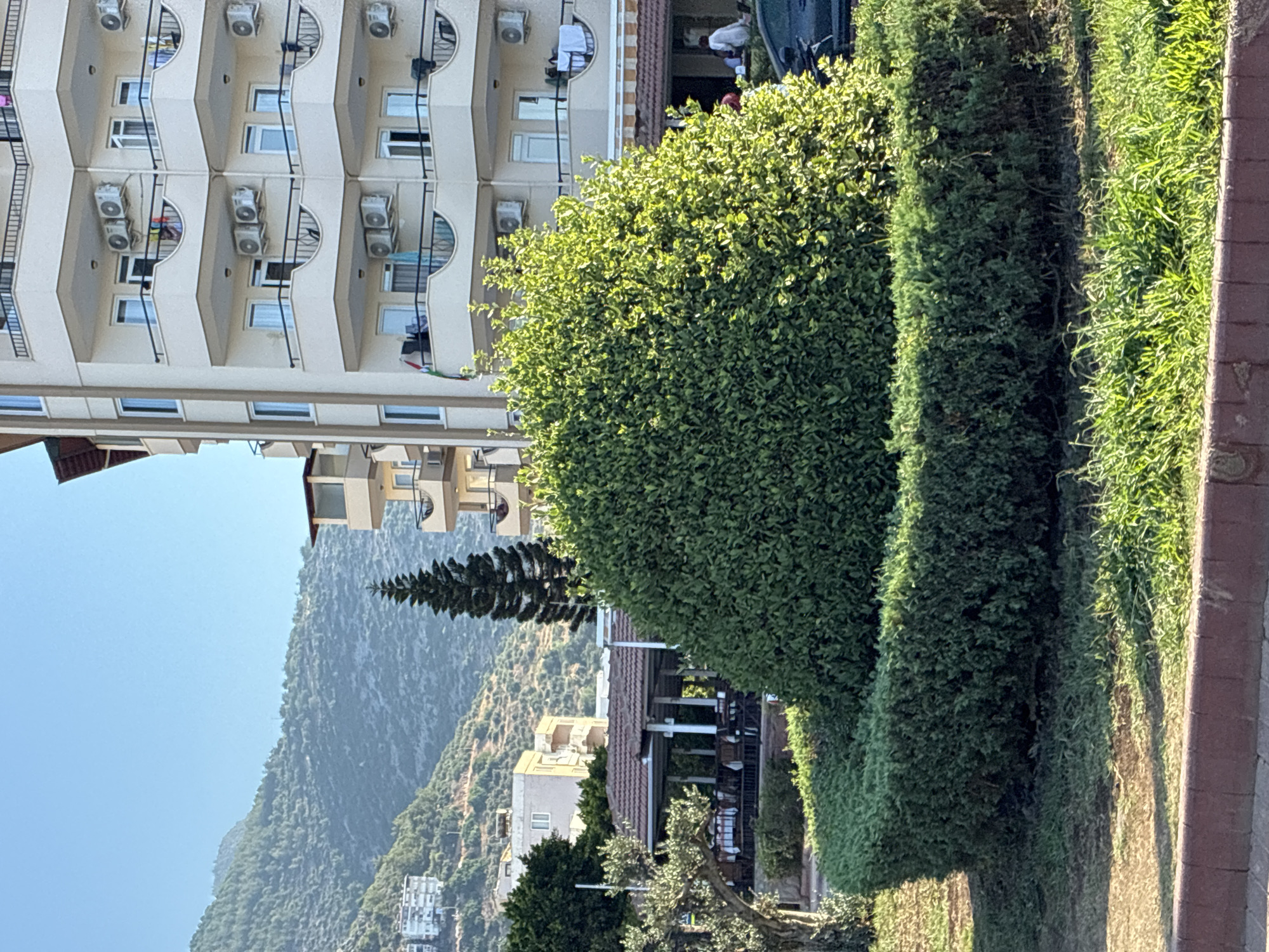 This is an outdoor, eye-level, medium shot photograph taken in Alanya, Turkey. The scene captures a sunlit street with a multi-story building, a large green bush, and a hillside. In the foreground, a manicured hedge forms a curved boundary in front of a larger, rounded green bush. Beyond the bush, a building with a red-tiled roof and open-air seating area is visible. A dark-colored car is parked on the right. The background features a tall, slender evergreen tree and a light-colored, multi-story residential building with balconies, each equipped with air conditioning units. Further in the distance, a steep, vegetation-covered hillside rises under a clear blue sky. There are no people clearly depicted in the image, though figures are faintly visible in the shaded seating area of the building.