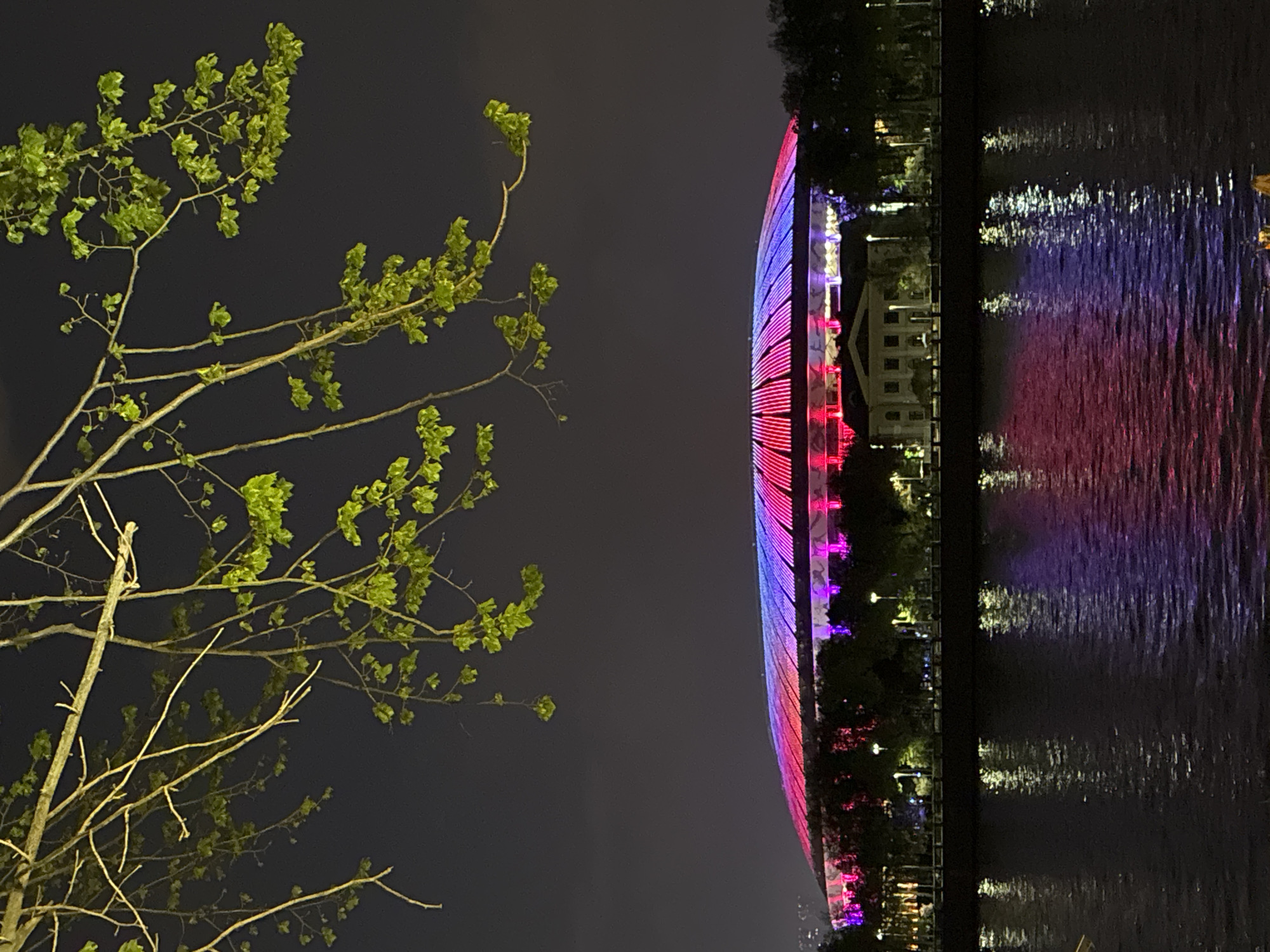 At night, a view presents a tree with sparse green leaves in the lower-left portion of the frame. The backdrop is a dark, overcast sky. A structure is illuminated with a spectrum of colors, primarily transitioning from red at the bottom to blue at the top. Its lights are reflected in the water, and trees and buildings are situated adjacent to the structure. This scene captures the Zhivopisny Bridge in Moscow, Russia, recognizable by its distinctive design and colorful illumination. The water reflects the vibrant lights, providing a mirror image of the bridge’s colors.