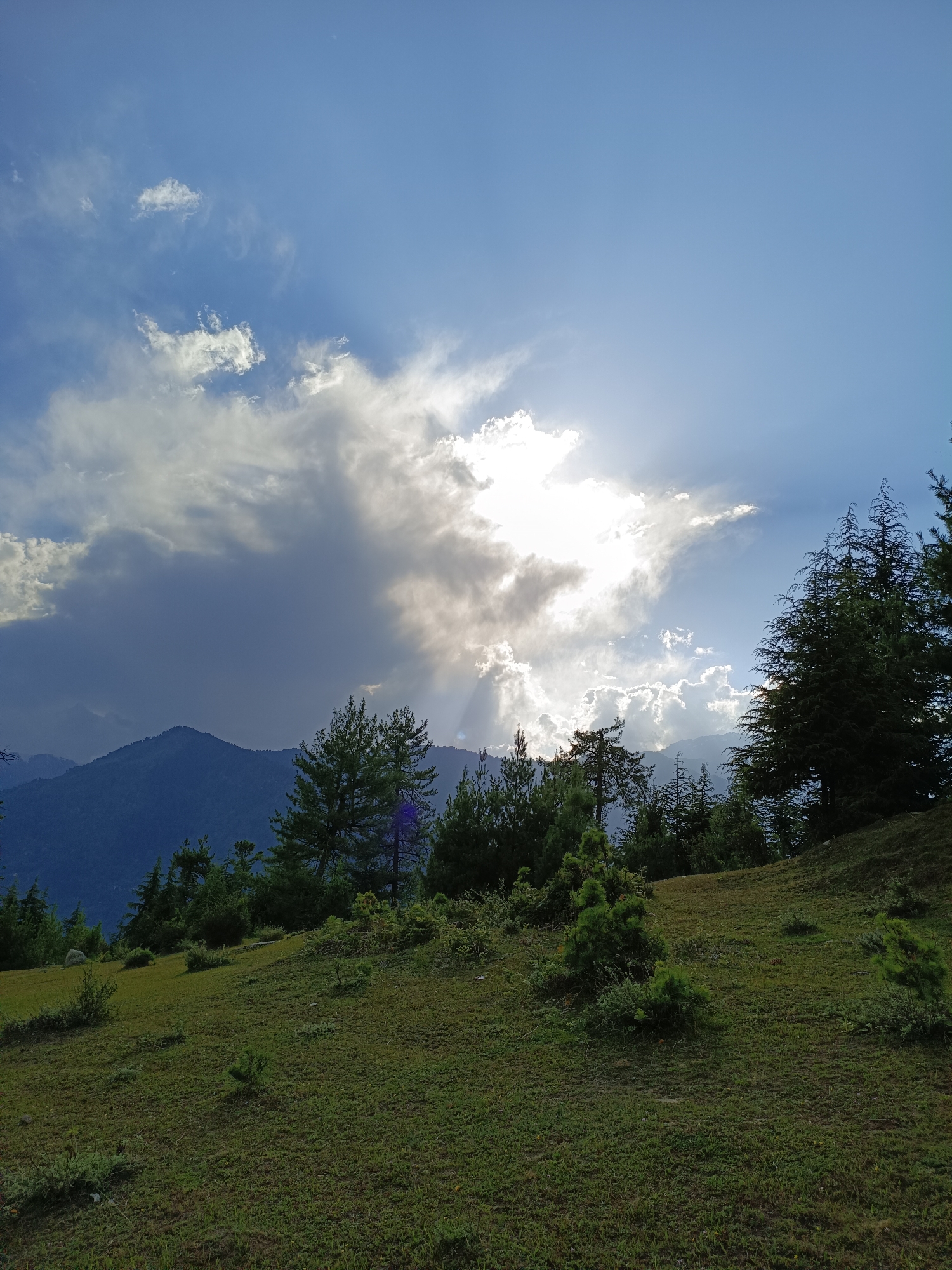 The image depicts a lush, green hillside with scattered trees and a dramatic sky. In the foreground, a grassy slope is dotted with small bushes and young trees. The midground is dominated by a line of mature evergreen trees, their dark green foliage contrasting with the brighter landscape. Behind the trees, a range of hazy, blue mountains stretches across the horizon. The sky above is a vibrant blue, partly obscured by large, dramatic clouds. Shafts of sunlight break through the clouds, creating a striking effect. The scene is likely a natural landscape in a mountainous region, possibly the Himalayas, given the mention of Damadi, India. There are no people or visible signs of human activity in the image. The lighting suggests it is late afternoon or early morning, with the sun's rays dramatically illuminating parts of the sky and landscape.
