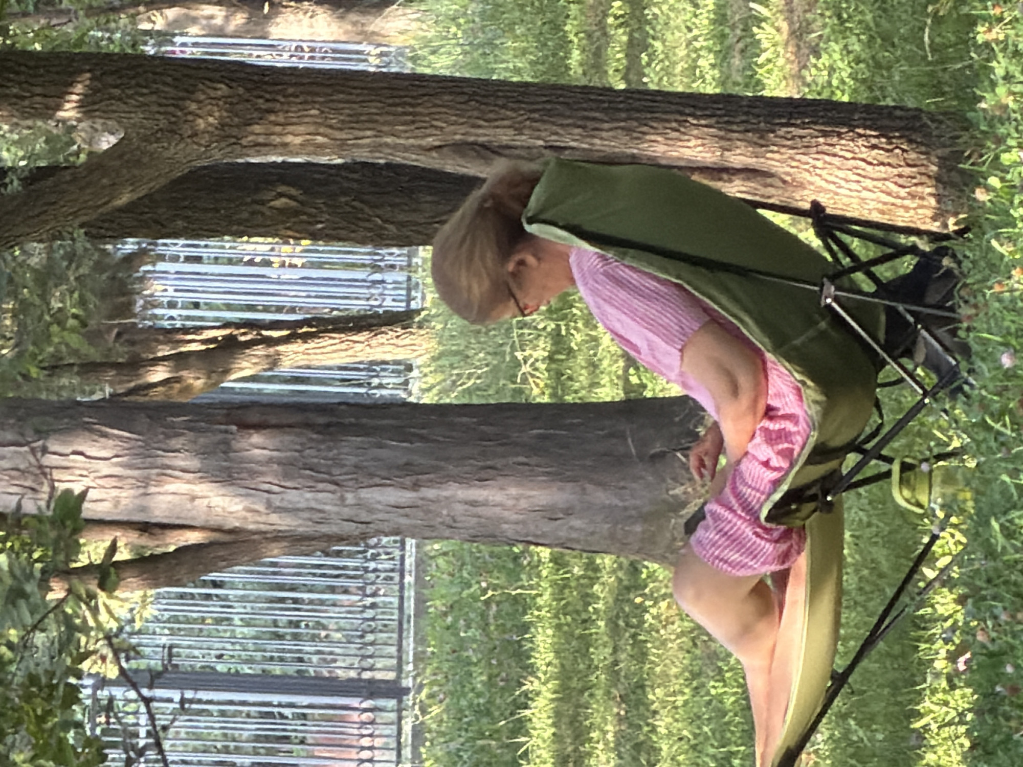 A woman is sitting in a green camping chair in a park. She is wearing a pink striped shirt and pink striped shorts. She has on glasses and her hair is pulled back. She is looking at her phone. There are trees and grass around her. A water bottle is on the ground next to the chair. A metal fence is visible in the background. The scene appears to be in a city park.