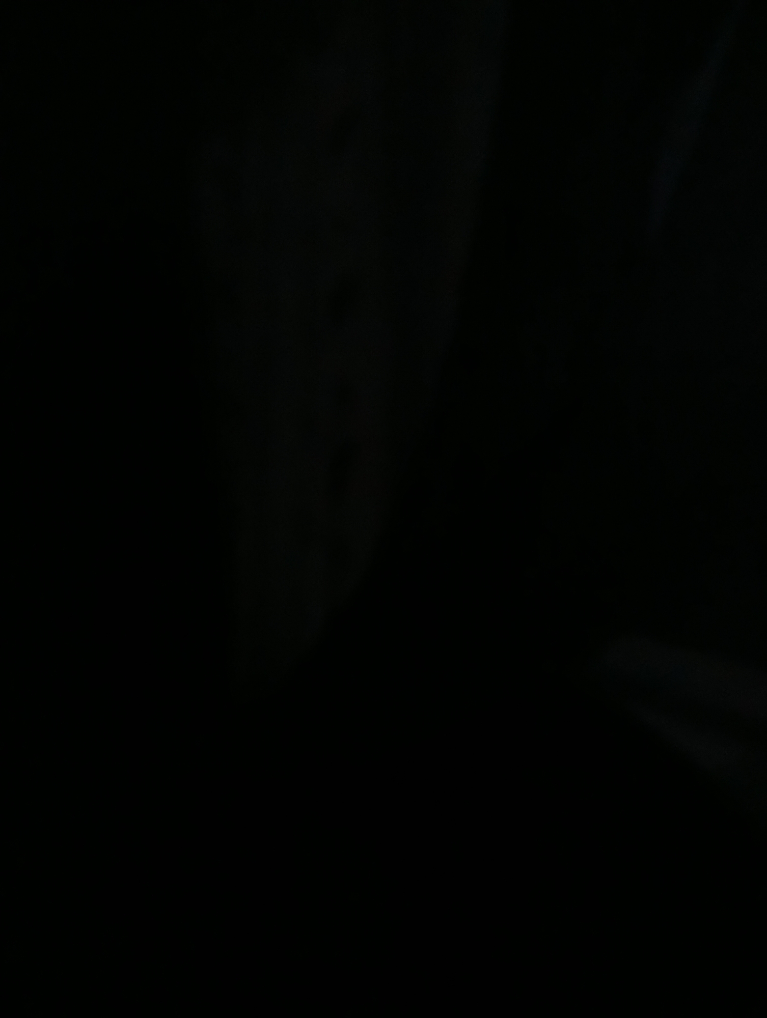 The media file is a close-up, low-light shot of a dark, possibly black, substance with a textured surface. It appears to be an abstract or detail shot, as there are no discernible people, objects, or a clear scene. The lighting is dim, creating a shadowy and somewhat mysterious atmosphere. The textured surface suggests a material that could be organic or manufactured, but its exact nature is unclear due to the darkness and lack of context. There are faint streaks of lighter color, possibly highlights or reflections, that add a subtle dynamism to the otherwise uniform dark mass. No text is visible in the image. The overall impression is one of depth and perhaps a tactile quality, but the lack of environmental cues makes it difficult to determine the specific setting or time of day.