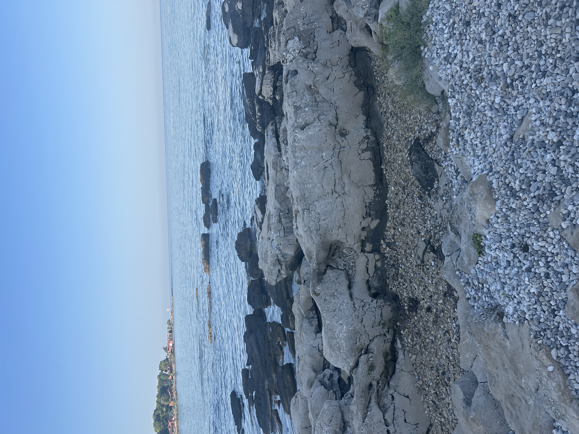 The image depicts a rocky shoreline in Monterol, Croatia, with the Adriatic Sea in the background. The foreground is dominated by large, weathered grey rocks and smaller pebbles. The sea is calm with gentle ripples, reflecting the clear blue sky. In the distance, along the coast, a line of trees and buildings can be seen, suggesting a developed area. The overall scene is tranquil and natural.