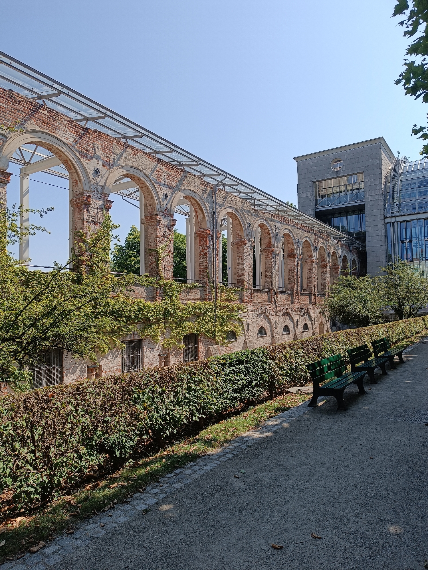 The image shows an outdoor scene on a sunny day in Munich, Germany. In the foreground, a gravel path leads past a meticulously trimmed green hedge. To the right of the path, three dark green park benches are arranged in a row. Behind the hedge, a section of an old brick building with arched openings and a modern glass roof is visible, with ivy climbing its walls. To the right of the old structure, a more modern grey building with glass facades and balconies stands. The sky is clear and blue. There are no people visible in the image. The scene depicts a tranquil park area adjacent to historic and contemporary architecture.