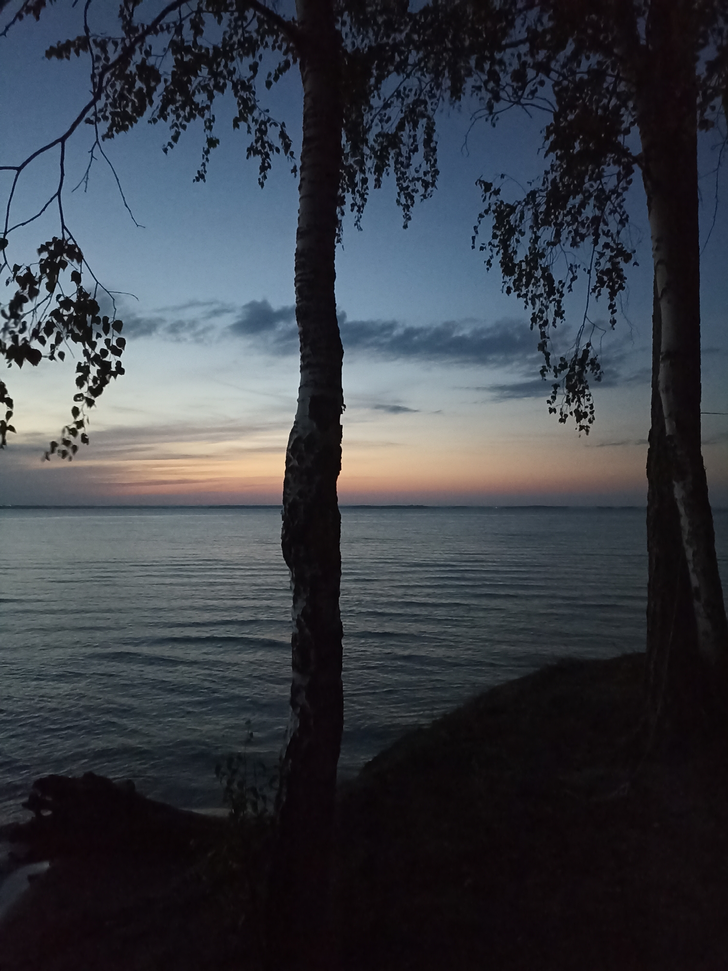 A silhouetted landscape photograph depicts a twilight scene at the edge of a body of water, possibly a lake or sea. Two birch trees, their bark textured and pale in the low light, stand in the foreground. The tree on the left has branches that extend into the frame, adorned with dark, leafy foliage. The tree on the right is more fully visible, with its trunk and sparse leaves. Between the trees, a calm body of water stretches towards the horizon, reflecting the muted colors of the sky. The water's surface exhibits gentle ripples, creating a textured pattern. The horizon is marked by a soft gradient of color, transitioning from a deep blue in the upper sky to lighter shades of orange, pink, and yellow just above the water, indicating the lingering light of sunset or the approaching dawn. Wispy clouds streak across the sky, adding depth and texture to the atmosphere. The ground in the foreground, including a portion of the shoreline and what appears to be a fallen log or debris, is rendered in deep shadow, obscuring finer details. The overall mood is serene and tranquil, evoking a sense of quiet observation. The location is listed as Unknown, Unknown.