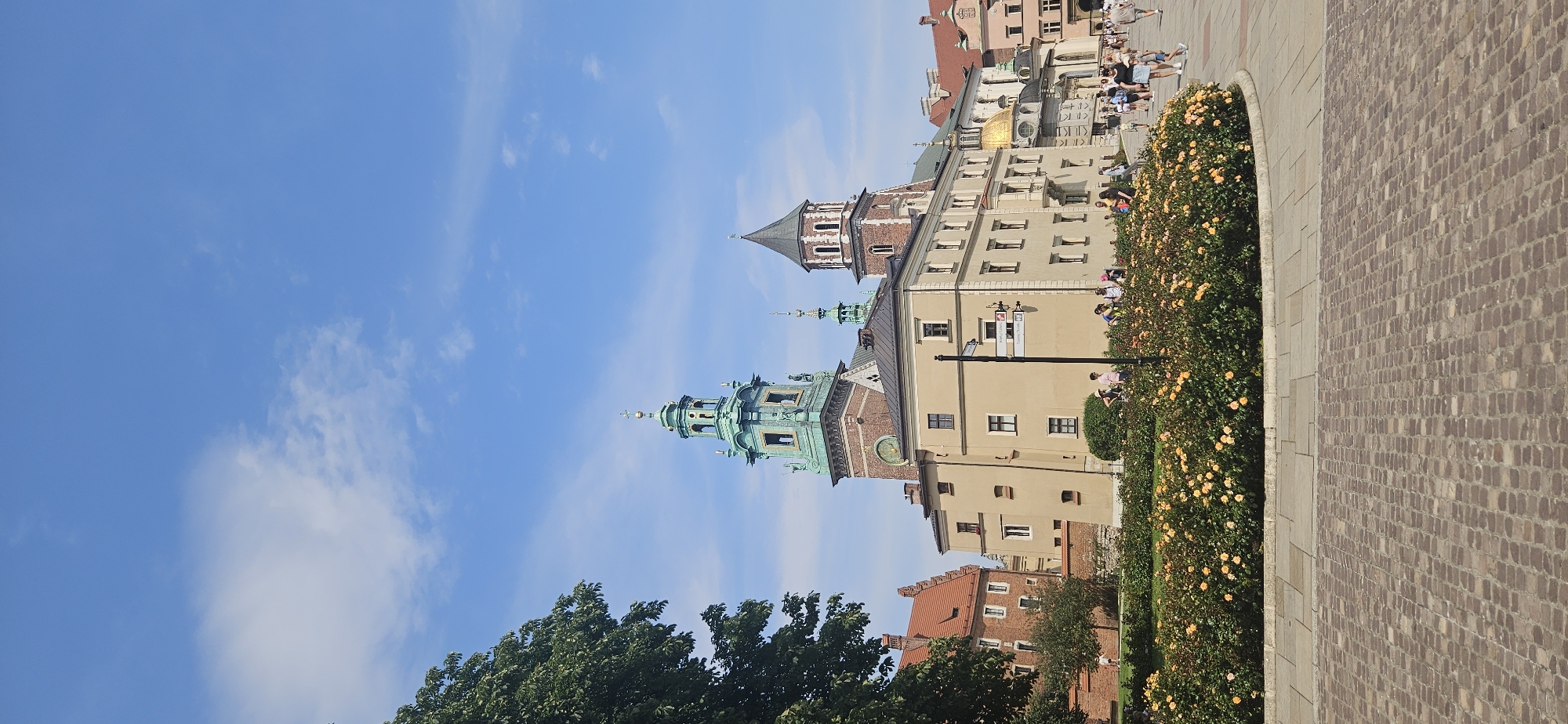 The image depicts Wawel Hill in Krakow, Poland, on a sunny day. The central focus is the Wawel Cathedral, characterized by its distinctive green spires and a clock tower. Adjacent to the cathedral is a light-colored, multi-story building with numerous windows. In the foreground, a circular garden bed is filled with blooming yellow-orange roses. Beyond the roses, a paved walkway with cobblestone patterns is visible. Several individuals are present, scattered across the scene, some walking and others standing in small groups. The background consists of a clear blue sky with scattered white clouds and other architectural elements of the Wawel complex. A large tree with dense green foliage is partially visible on the left side of the frame.