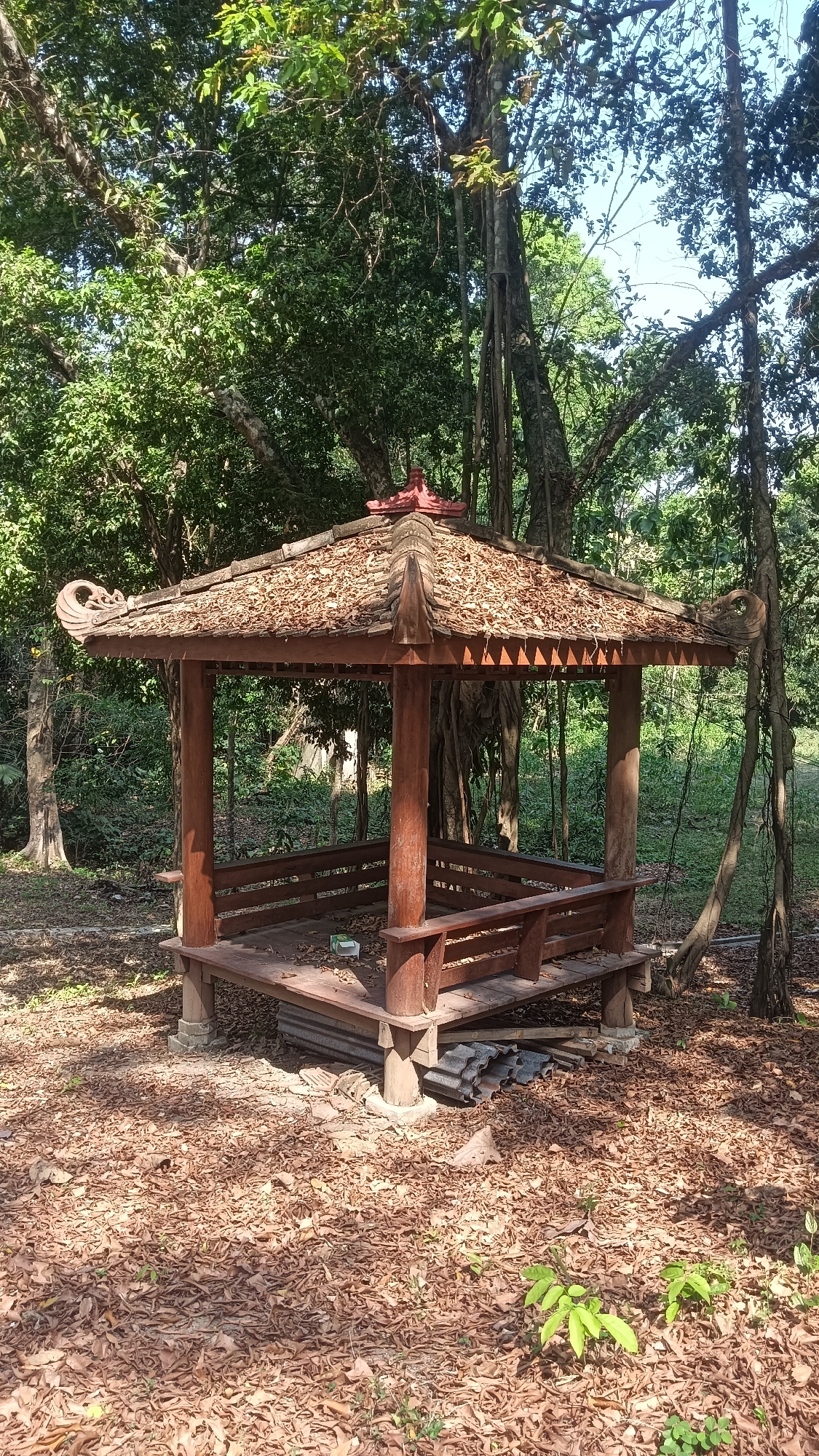 A traditional wooden gazebo, covered in dried leaves, stands in a wooded area. The gazebo has a multi-tiered, tiled roof with decorative trim and a carved finial. Wooden benches are built into the interior. The ground around the gazebo is thickly carpeted with fallen leaves. Large trees with exposed roots surround the structure, their branches extending overhead. The scene suggests a natural, possibly overgrown, outdoor setting.