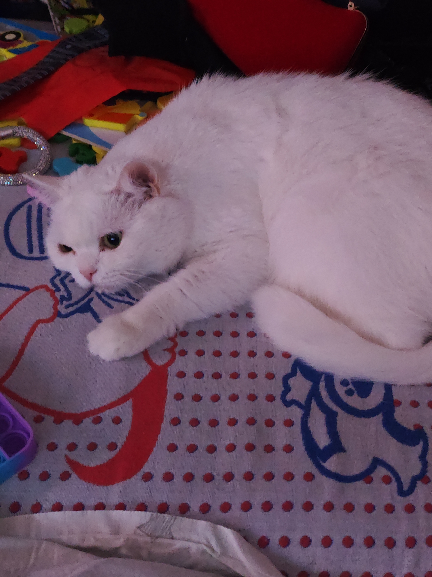 A white cat is lying on a patterned blanket. The blanket has a light gray background with red polka dots and blue cartoon bear and human-like figures. Above the cat, there are various objects, including a red piece of fabric, a multi-colored toy, and a silver ring. A partially visible blue and purple pop-it toy is in the lower-left corner. The location is indeterminate as no evidence of Markovskii, Russia is present in the image.