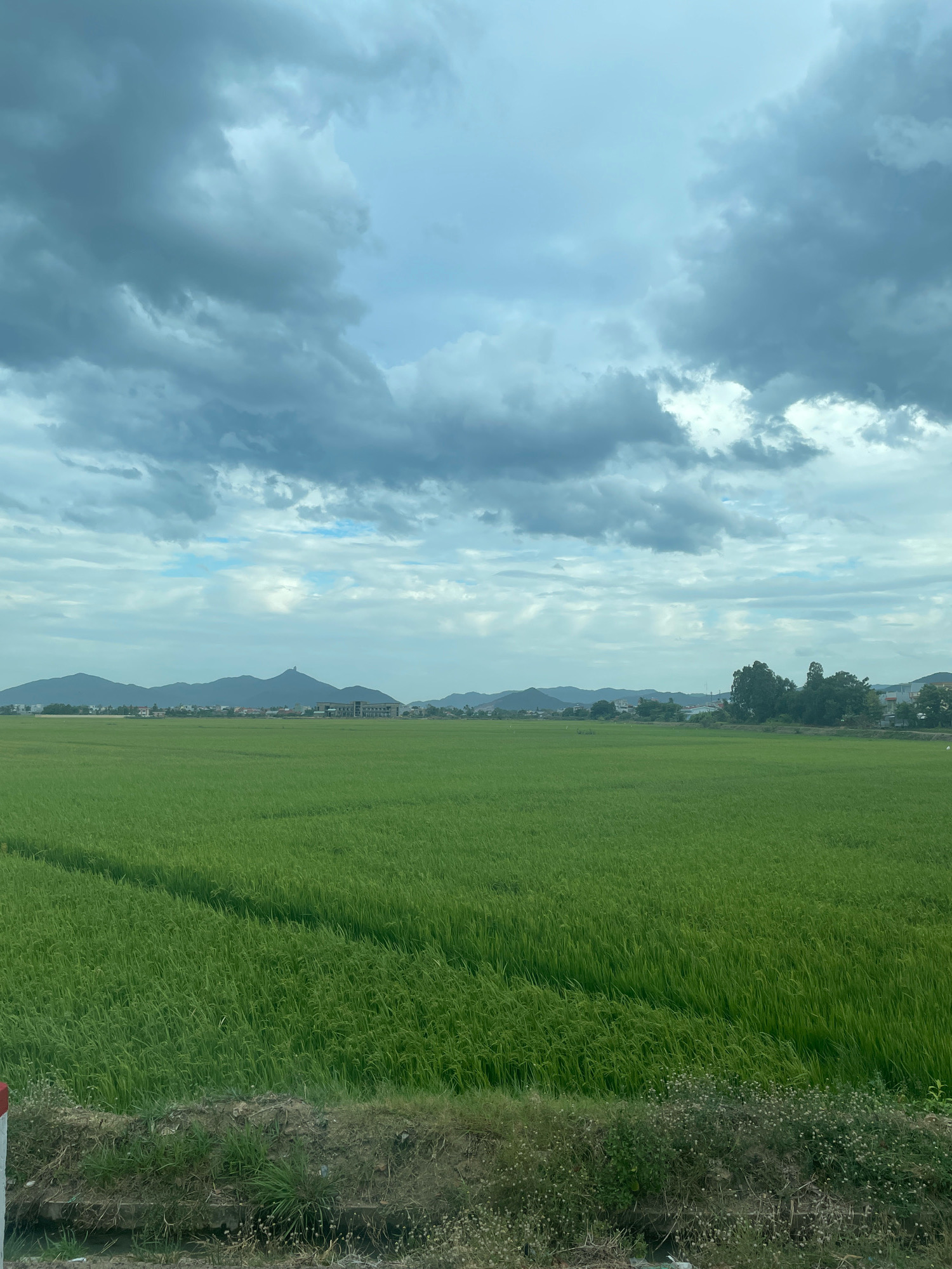 The image depicts a vast, vibrant green rice paddy field under a dramatic, cloudy sky. The field stretches out to the horizon, bordered by a line of trees and buildings in the distance, with rolling hills or mountains forming the backdrop. The clouds are heavy and dark in some areas, suggesting impending rain or recent showers, with lighter patches of blue sky peeking through. The foreground shows a small strip of dry, grassy earth with some sparse vegetation and a concrete barrier. This scene is characteristic of the rural landscape in Đông Hòa, Vietnam, where agriculture, particularly rice cultivation, is a significant feature. There are no people visible in the frame, and the focus is on the expansive natural environment.