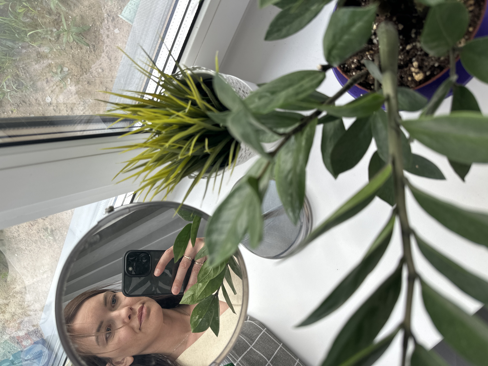 A person is taking a selfie in a mirror next to plants on a windowsill. The plants include a green ZZ plant in a purple pot and a grassy plant in a gray pot. Outside the window is a view that appears to be a building, vegetation, and a dirt area.
