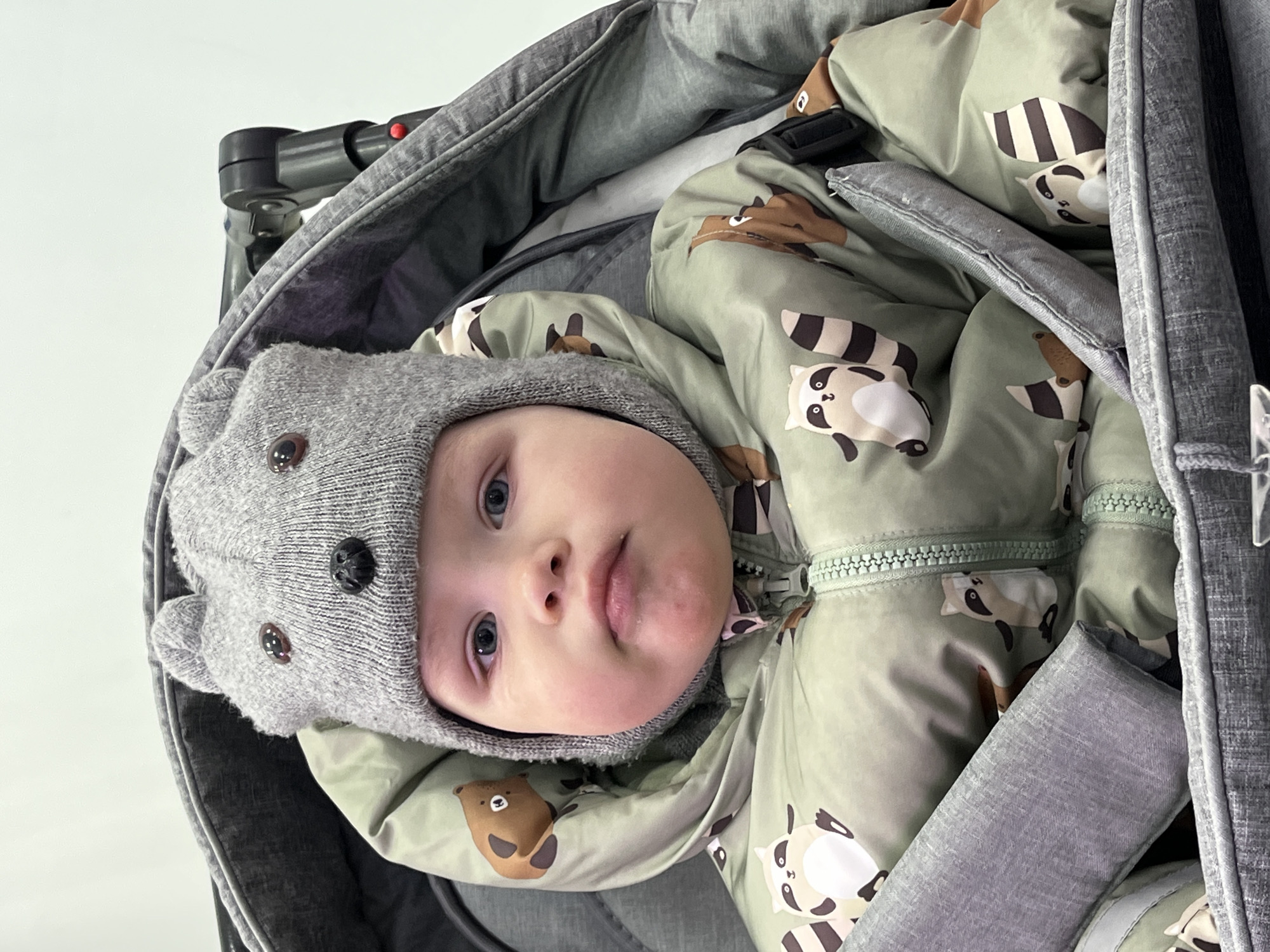 A baby wearing a gray knit hat with button eyes and a green patterned jacket with raccoons and bears lies in a gray baby carriage. The photo was taken indoors. The city of Chaikovsky, Russia is not discernible in the image.