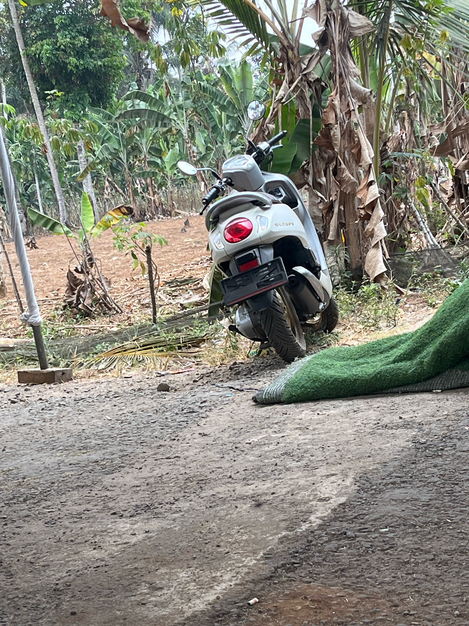 A silver scooter is parked in an outdoor area with a dirt ground and vegetation in the background. The scooter is facing away from the viewer, with its rear visible. The vegetation consists of banana trees and other tropical plants. A green mat is partially visible in the foreground, on the right side of the image. The scene appears to be in a rural or semi-rural area, possibly in Kebumen, Indonesia.