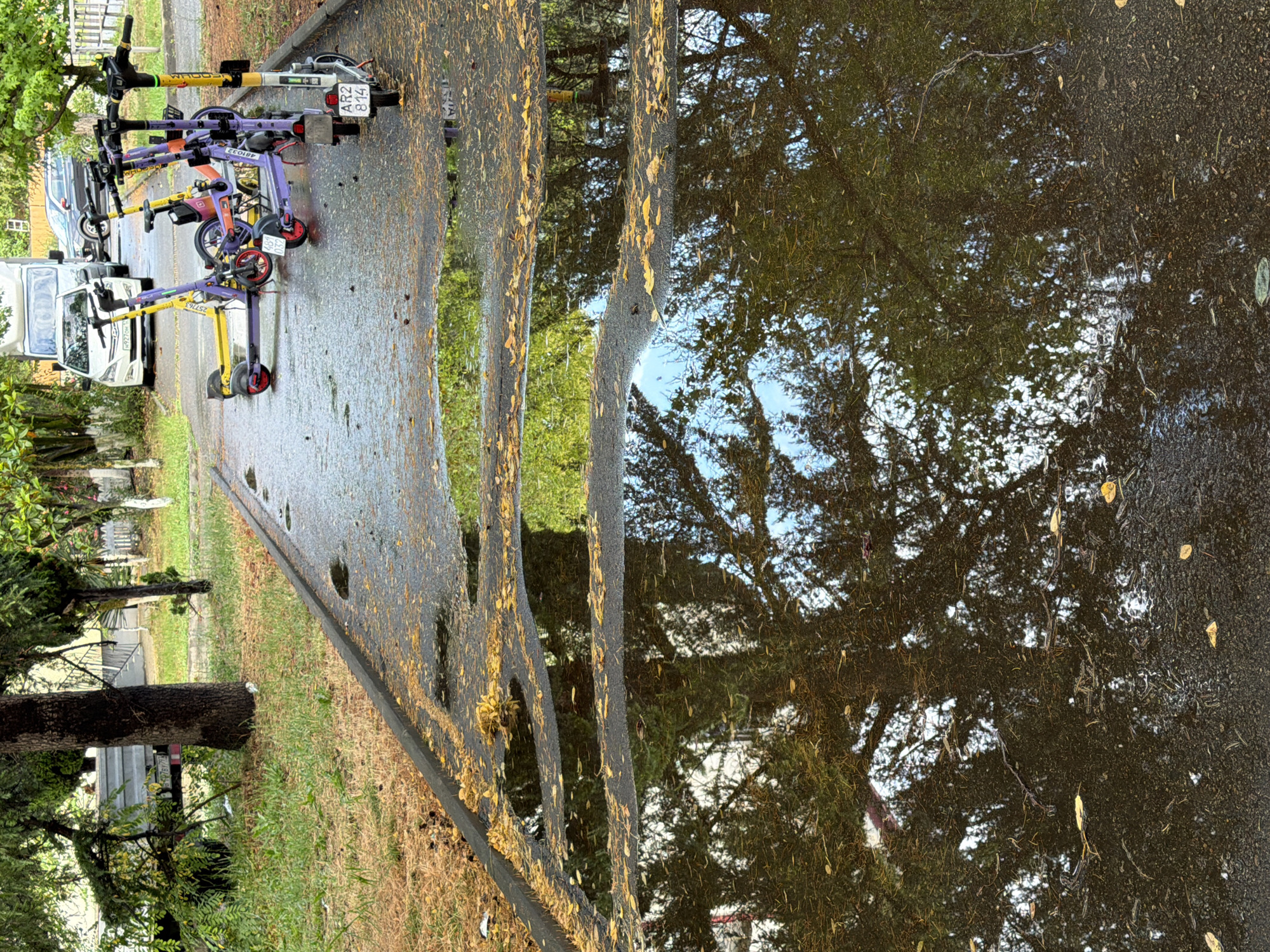 In Vesyoloye, Russia, on a paved pathway, several electric scooters are parked in a row. The pathway is wet and reflects the surrounding trees and sky. Yellow and purple scooters are most prominent, with some having visible license plates. The ground is covered in fallen leaves. In the background, vehicles including a white van and a dark-colored car are visible, along with some greenery and trees. The scene appears to be outdoors, possibly a park or a street, with a slight overcast sky reflected in the puddles.