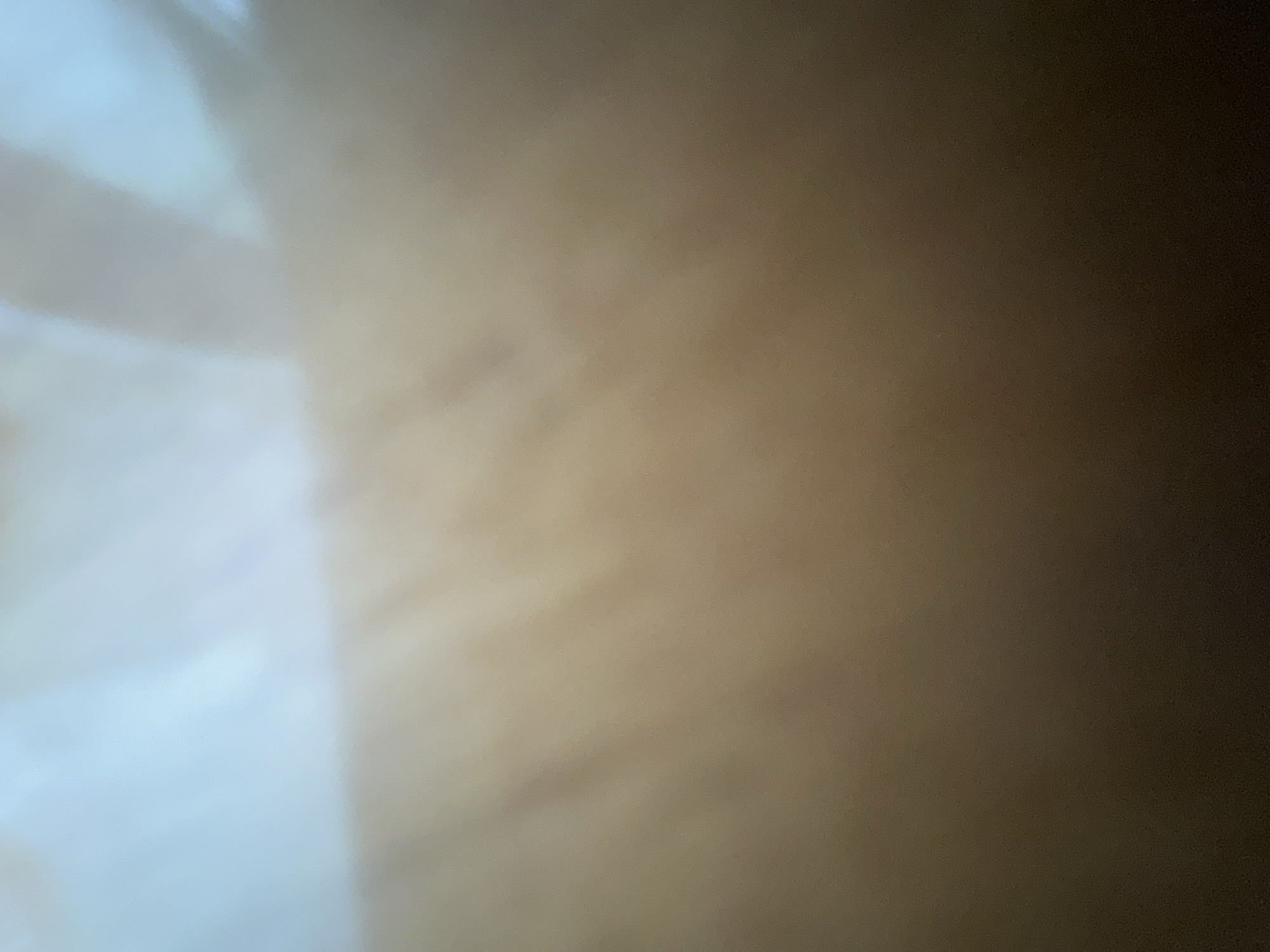 The image is a close-up, out-of-focus shot of a person's skin. The skin appears to be a light tan color with some subtle variations in tone. There are no discernible objects, actions, or environmental features visible. The image is too abstract and lacking in detail to provide any information about its location, especially in the city of Belgrade, Serbia.