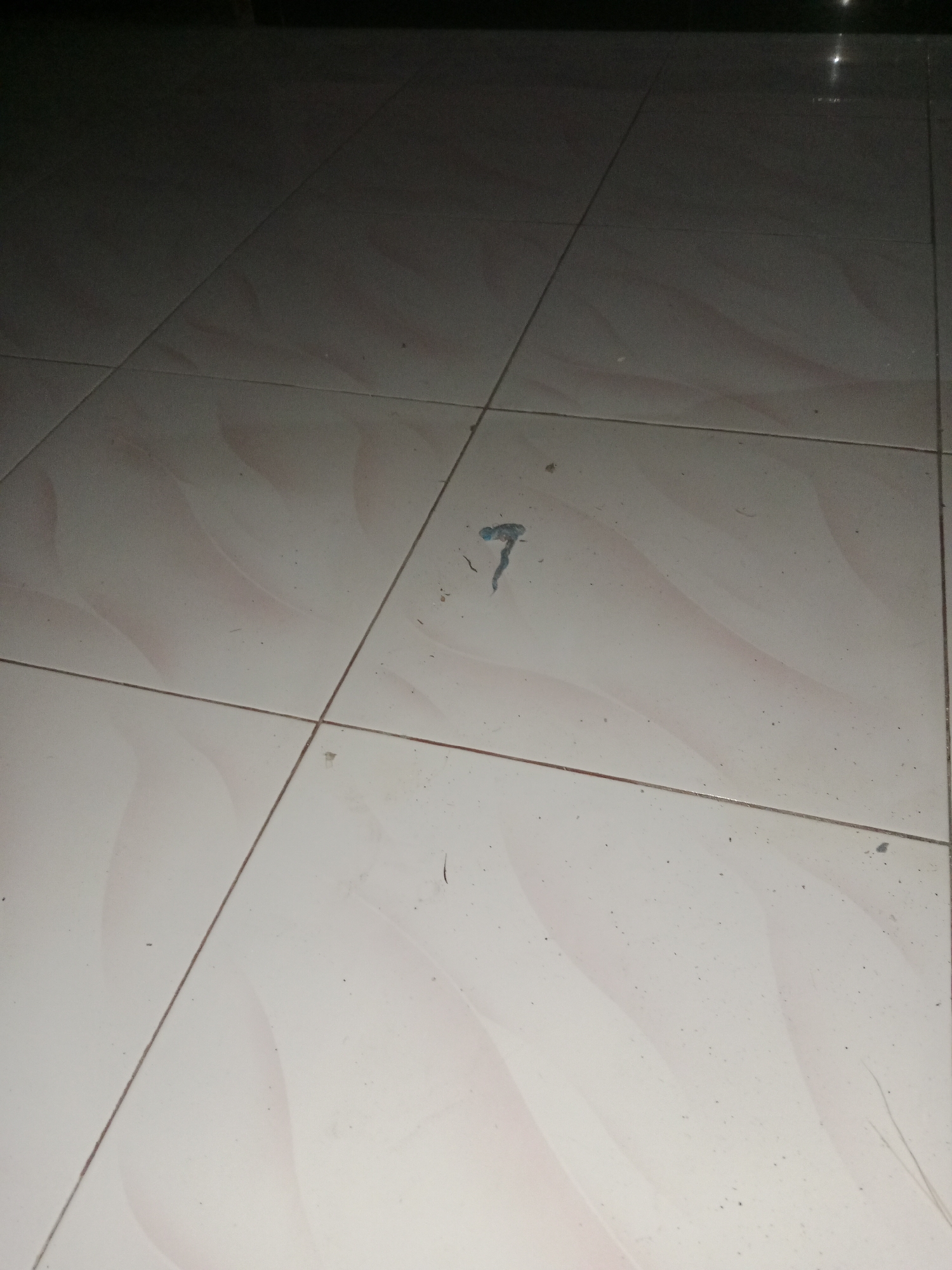 The image shows a section of a tiled floor in Ringinrejo, Indonesia. The tiles are light-colored with a subtle pattern. There is a small, irregularly shaped blue object on the floor in the center of the frame, appearing to be a stain or a piece of debris. The floor is not perfectly clean, with scattered dust and small dark specks visible. The lighting suggests the area is dimly lit, possibly an indoor space with some overhead light reflecting off the polished surface of the tiles. The perspective is from a slightly elevated angle looking down at the floor.