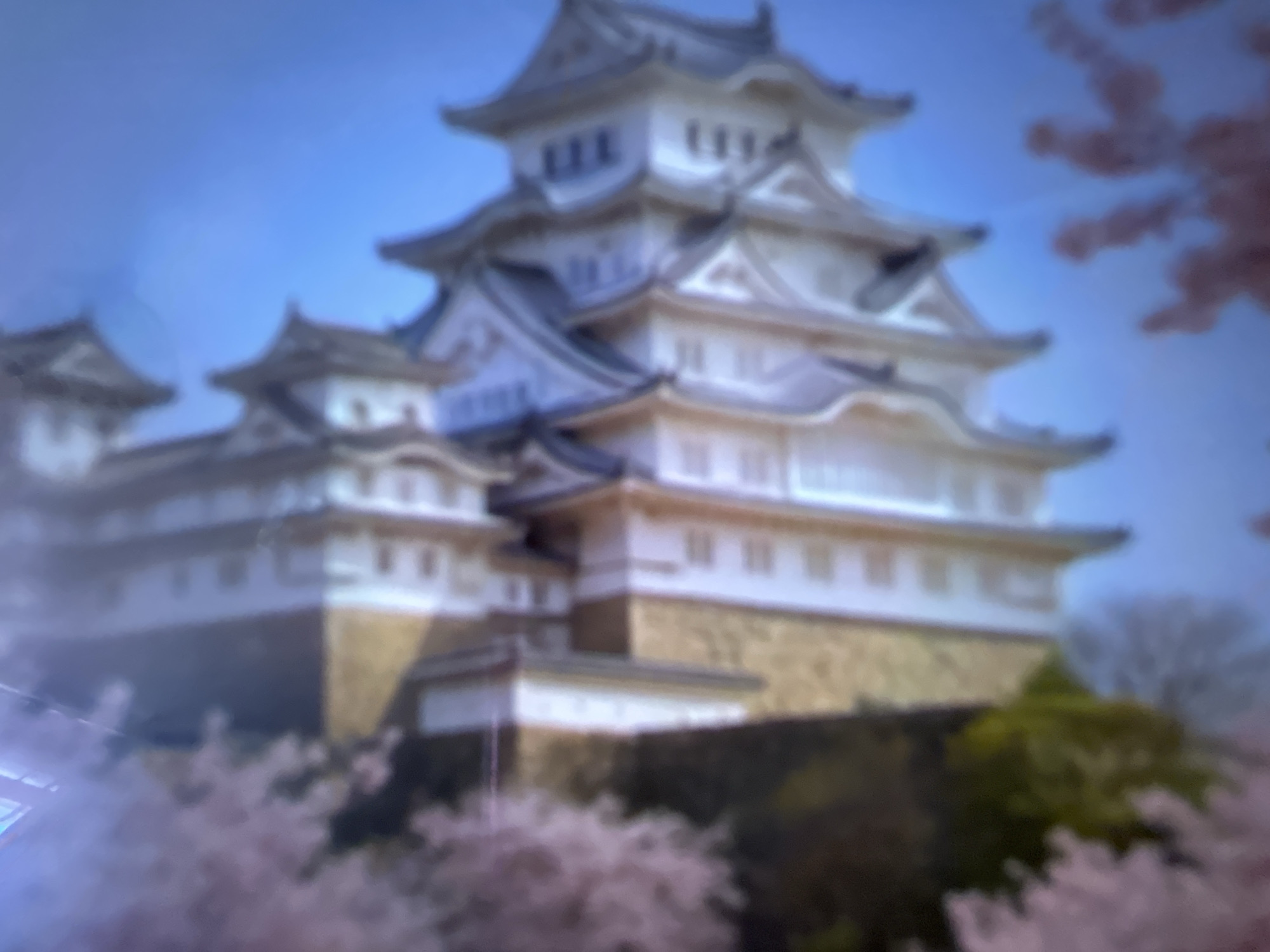 The image displays a blurry, vertically oriented shot of a traditional Japanese castle with blooming cherry blossom trees in the foreground. The castle appears to be white with dark roofs, and it is set against a clear blue sky. The cherry blossoms are a soft pink, creating a gentle contrast with the stark architecture of the castle. The lighting suggests it is daytime. The image does not contain any people or specific actions. This image is not related to the city of Gelendzhik, Russia.