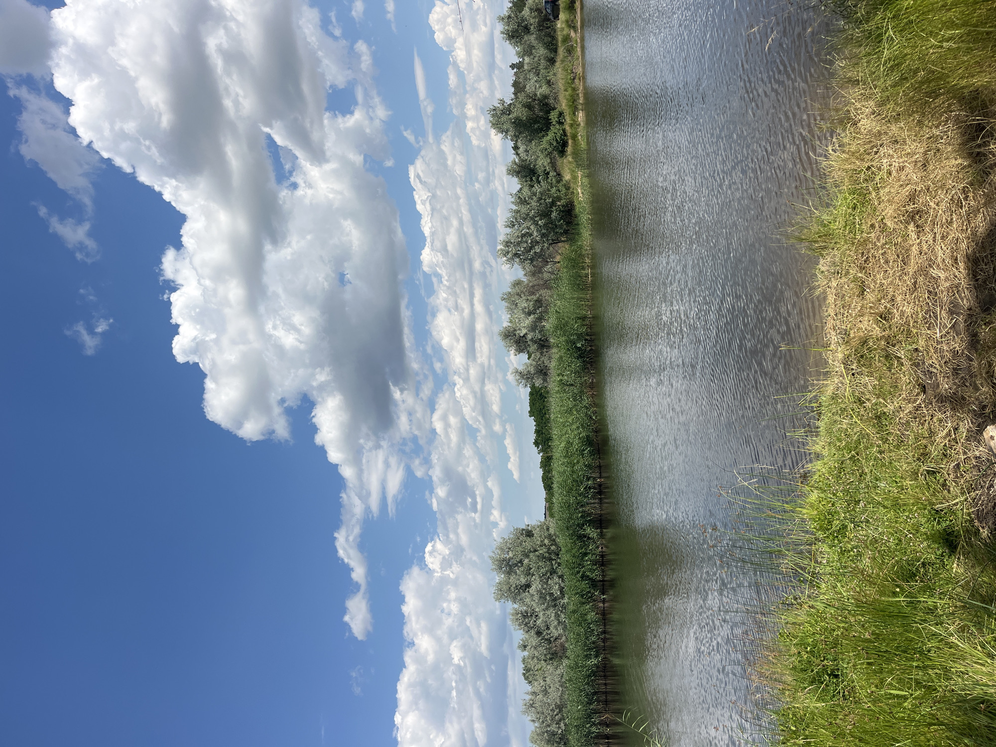 The image depicts a tranquil natural scene alongside a body of water. The primary subjects are the water itself, the lush green vegetation lining its edge, and a backdrop of a bright blue sky dotted with fluffy white clouds.
The setting appears to be a body of water, possibly a river or a lake, with a well-defined bank covered in a mix of green grass and drier, yellowish vegetation. A line of trees, with silvery-green foliage, forms a backdrop to the grassy bank, suggesting a rural or natural environment. The water is calm, with ripples indicating a gentle breeze.
The sky is a vibrant blue, characteristic of a clear day, and is adorned with numerous cumulus clouds. These clouds, ranging from pure white to light grey, are scattered across the sky, creating a dynamic and aesthetically pleasing contrast with the blue.
There is no visible activity or event taking place; the image conveys a sense of stillness and peace. The time of day is likely daytime, given the bright sunlight illuminating the scene and the clear sky. The weather appears to be pleasant and sunny.
Notable details include the texture of the water's surface, the varying shades of green in the grass, and the distinct shapes of the clouds. The image evokes a feeling of serenity and natural beauty.
No visible text is present in the image. The location context provided places this scene in Levadivka, Ukraine.