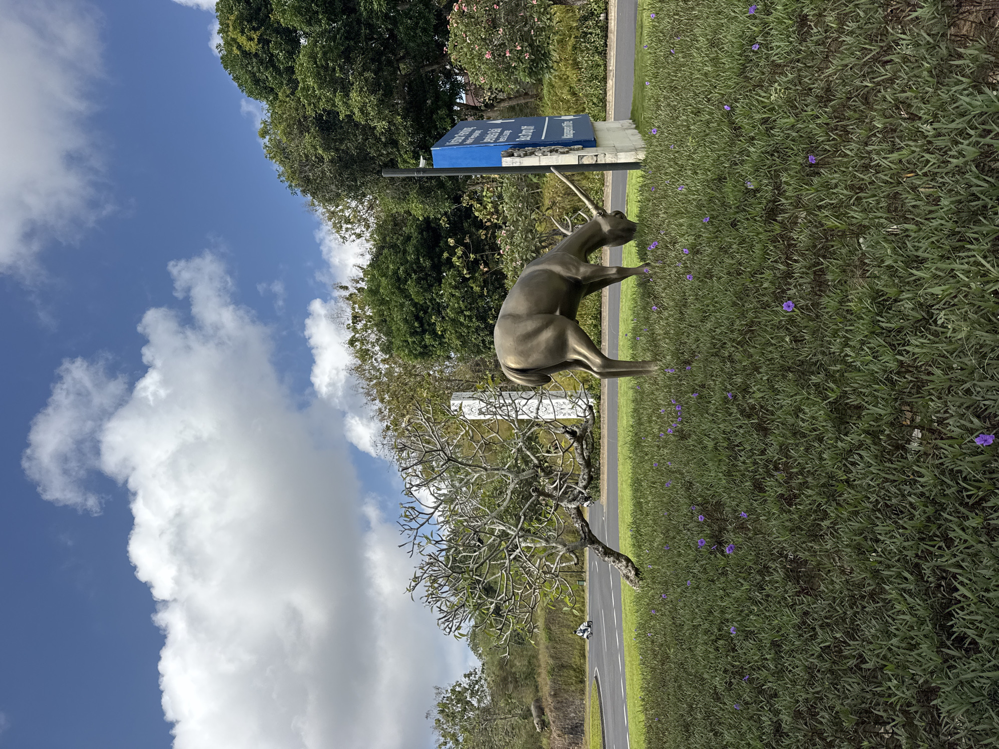 This image depicts a bronze statue of a deer grazing in a lush green field dotted with small purple flowers. The statue is positioned to the right of a leafless, gnarled tree with a bent trunk. In the background, a paved road curves around a grassy embankment, and a person on a scooter can be seen in the distance. Further back, dense green trees and foliage form a natural backdrop. A blue signpost with white text is mounted on a stone pillar next to the deer statue. The sky above is a bright blue with scattered white clouds. The scene appears to be an outdoor area, possibly a park or the grounds of a facility, located in the city of Kuta Selatan, Indonesia.