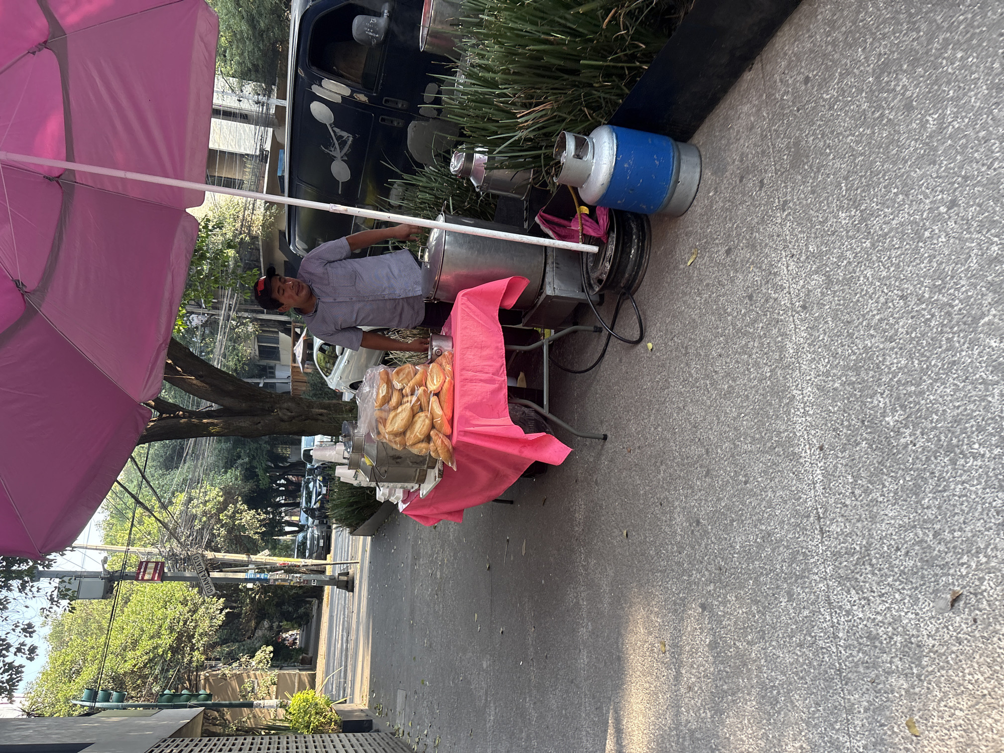 The image shows a street vendor in Mexico City, Mexico, positioned on a paved sidewalk alongside a road lined with trees and parked cars. The vendor, a man wearing a light-colored shirt, stands behind a metal cart. The cart is draped with a pink cloth and holds a large bag filled with bread rolls. A metal cooking apparatus and a blue propane tank are positioned near the cart. A large pink umbrella provides shade for the vendor and his setup. In the background, a street sign with the word "GUANAJUATO" is visible on a utility pole, indicating the street's name.