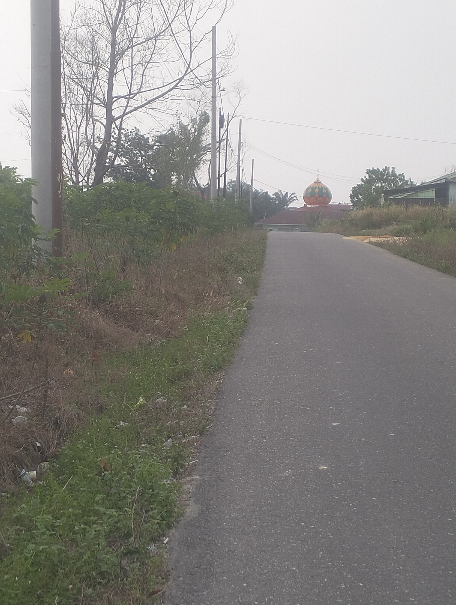 The image captures a view of a paved road leading towards a building with a distinctive dome. The building, potentially a mosque given its dome, is situated in the distance, surrounded by vegetation. The dome itself is a prominent feature, adorned with green and orange geometric patterns. To the left of the road, the foreground is occupied by dry grass, sparse bushes, and a grey utility pole. The sky is overcast, contributing to a muted light. The overall setting appears to be rural or suburban, consistent with a location like Tambusai Batang Dui, Indonesia. No people are visible in the frame.
