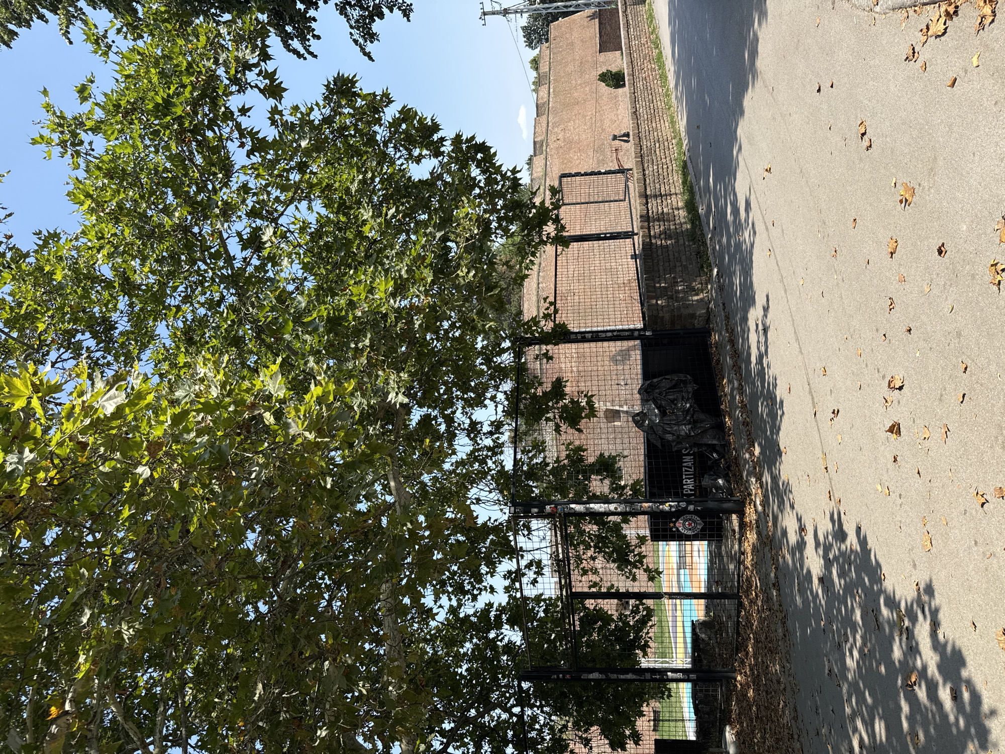This is a medium shot taken on a sunny day, looking towards a large brick wall structure in Belgrade, Serbia. The foreground is a paved road with scattered fallen leaves, and dappled sunlight from overhead trees. A black metal fence runs horizontally across the middle ground, partially obscuring a brightly colored outdoor court area visible through the fence on the left. The court appears to have sections of blue, yellow, and orange. To the right of the court, attached to the fence, is a black rectangular sign with a white emblem and text, including the word "PARTIZAN S". To the right of the fence and court, there is a large, continuous brick wall that extends into the background, topped with crenellations. Small green bushes are visible in front of the wall. A single tall green tree is planted to the right of the wall, and further in the background, a power pole with wires is visible. The sky is clear and blue.