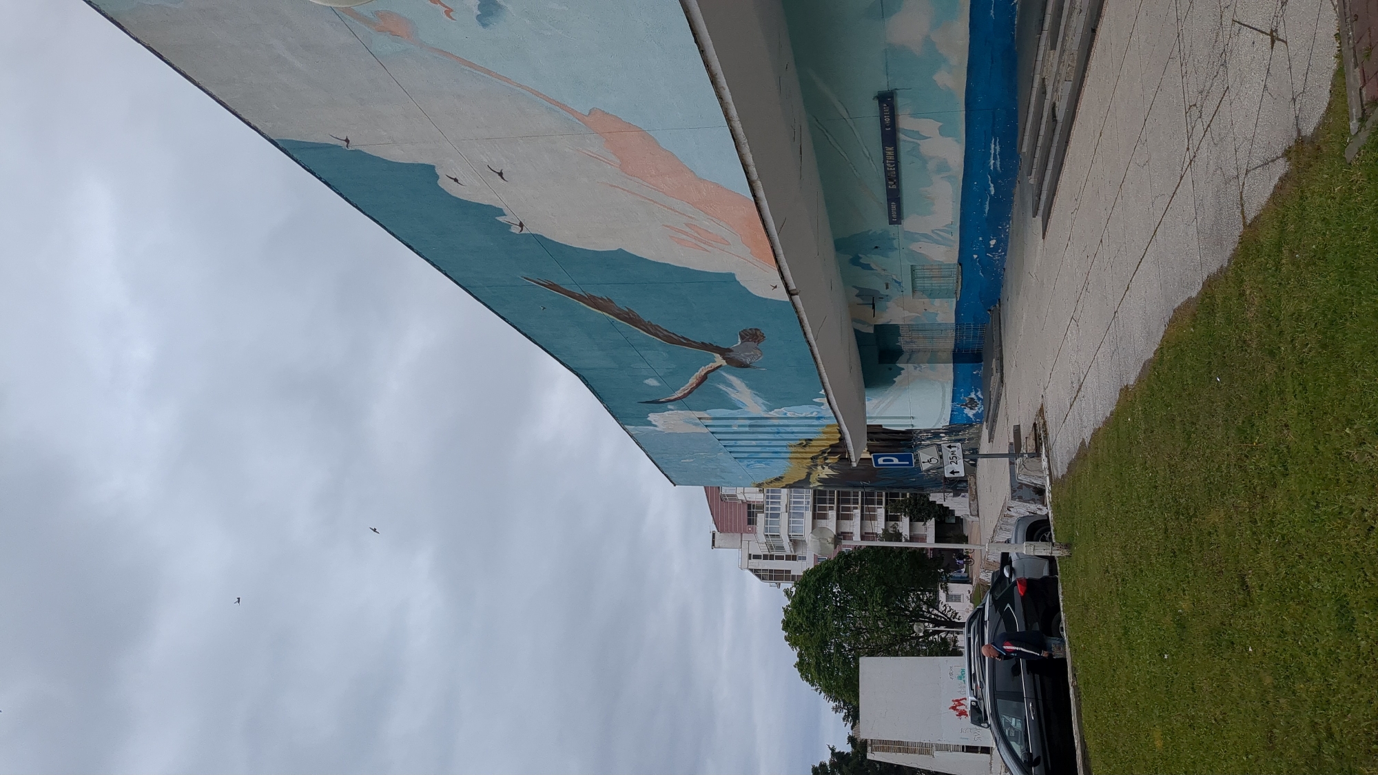 The image shows a street scene in Gelendzhik, Russia, under an overcast sky. A long, low building with a mural painted on its side dominates the scene. The mural depicts a sky with clouds, birds in flight, and a large bird with outstretched wings. The building is adjacent to a sidewalk paved with gray concrete, and a strip of green grass runs alongside the sidewalk. In the background, a multi-story white building with balconies is visible, as well as some trees. A parking area with several dark-colored cars and one person is located near the building. Signs are visible, including a parking sign. The camera's perspective is slightly angled, making the scene appear somewhat tilted.