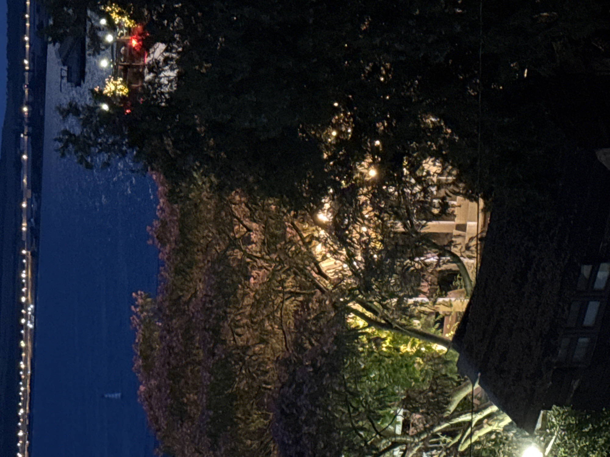 A nighttime aerial view captures a waterfront scene in Kerch, Ukraine. In the foreground, the dark, textured roof of a building is visible, with a few illuminated windows showing a dim interior. A street lamp illuminates a patch of greenery to the left of the building. Beyond the building, a dense canopy of trees with interspersed string lights creates a festive atmosphere. The lights range from warm yellow to white, dotting the branches and highlighting the foliage. Further back, a body of dark blue water stretches across the frame, reflecting the distant lights of the city's skyline, which appears as a line of scattered yellow and white points against the dark horizon. A single, small white sailboat is discernible on the water. The overall impression is one of a tranquil evening by the water, with a hint of celebration from the decorative lights.