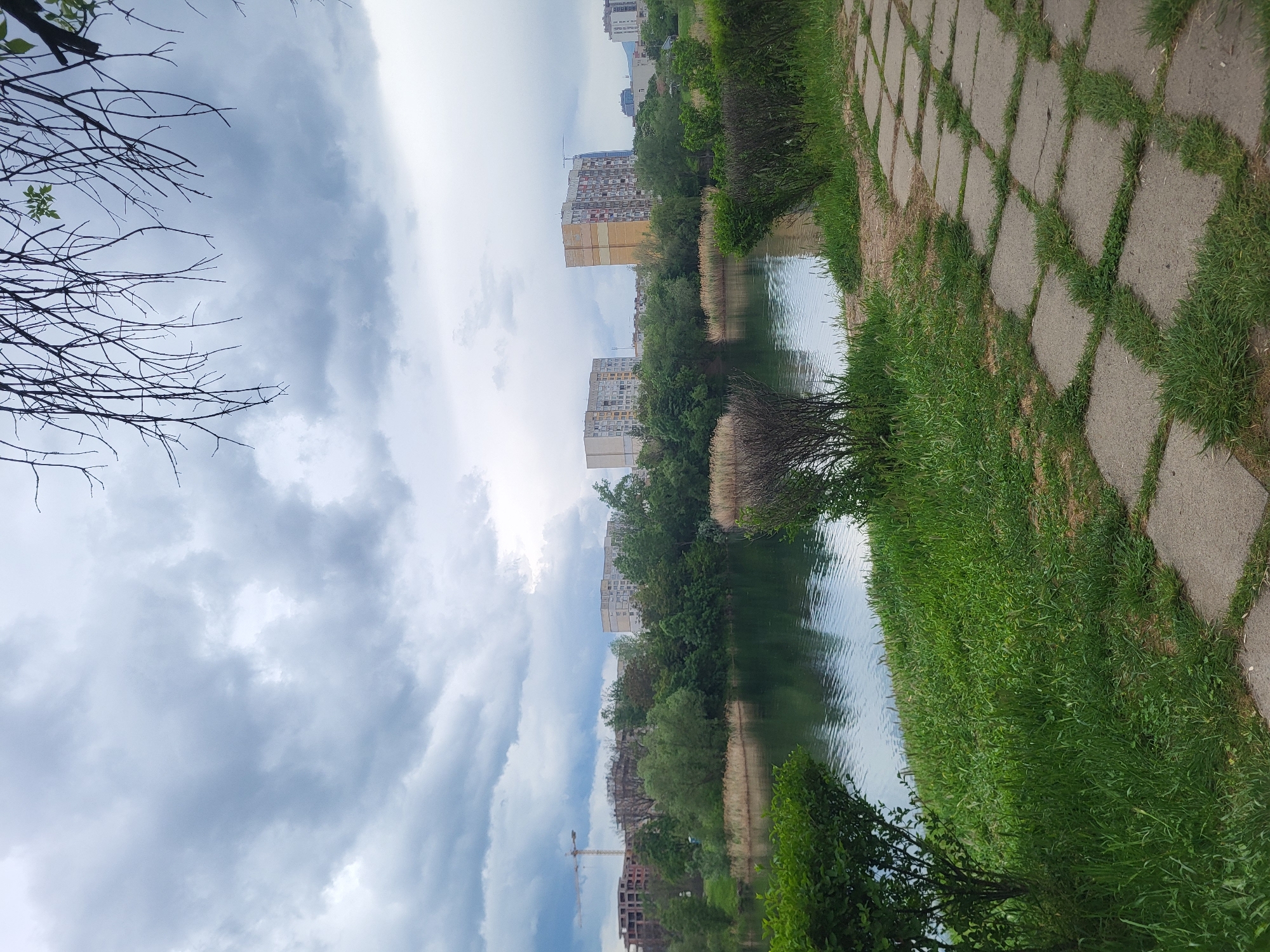 The image depicts an urban landscape, likely a park area in Sofia, Bulgaria, featuring a body of water, possibly a canal or small lake, reflecting the sky and surrounding buildings. The sky is overcast with heavy, grey clouds. The water is edged with green vegetation, including grass, reeds, and trees. Concrete pavement with grass growing between the stones forms a path along the water's edge. Several high-rise apartment buildings are visible in the background, interspersed with trees. A construction crane is also present, indicating ongoing development. A bare tree branch is in the upper-left corner of the image. The photograph seems to be taken from a slightly elevated perspective.