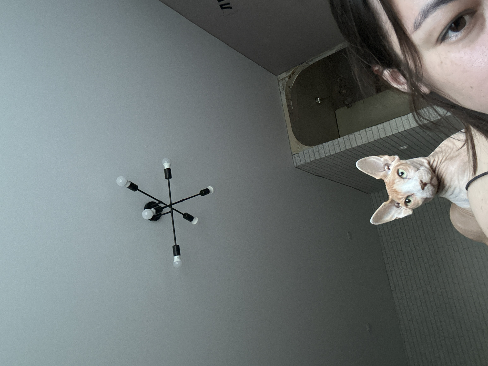 This media file is a close-up, low-angle shot of a person and their Sphynx cat. The person is in the upper right corner, with their face partially visible, looking towards the camera. A Sphynx cat is positioned below and to the left of the person, with its head tilted and looking curiously at the camera. The cat is light orange with green eyes.
The background shows a gray wall and a ceiling. A modern, black sputnik-style chandelier with six exposed bulbs is mounted on the wall. In the upper portion of the background, there is an unfinished section of what appears to be a bathroom or shower area, with exposed pipes and unfinished tile work.
The lighting suggests an indoor setting, possibly during the daytime given the ambient light. The overall mood is casual and intimate, with the subjects looking directly at the viewer. The perspective creates a sense of looking up at the cat and person. There is no visible text in the image.
The location context is Magnitogorsk, Russia, which provides a general geographic setting but is not directly evident from the visual content of the image.