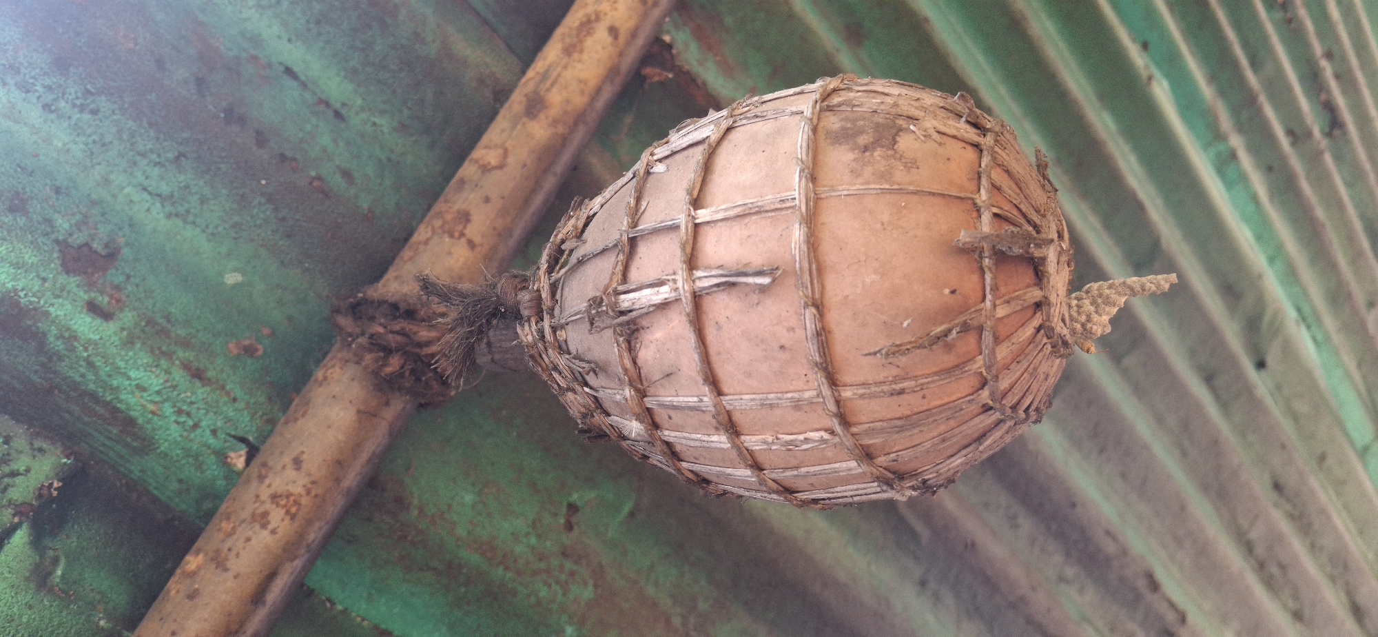 The image captures a rustic, spherical or ovoid object suspended against a weathered, corrugated metal background. The main subject is a light brown, possibly earthenware or dried gourd-like object, encased in a roughly constructed cage of thin, light-colored strips (perhaps wood or bamboo) and tied with darker fibrous material. This object is attached by a dense bundle of dark fibers to a weathered, rusty brown pole or beam that runs horizontally across the upper left of the frame. On the opposite end of the spherical object, a smaller, textured, and rough protrusion extends outwards.
The background consists of a corrugated metal sheet, likely a roof or wall, which displays a faded, rusty green hue with prominent streaks and patches of darker rust and discoloration. The corrugations run diagonally upwards from left to right across the image. The entire scene conveys a sense of age and wear, with all visible elements appearing weathered and rustic. The bright, overhead lighting suggests it is daytime. No people or visible text are present. Given the context, this scene is located in Vallecito, Venezuela.
