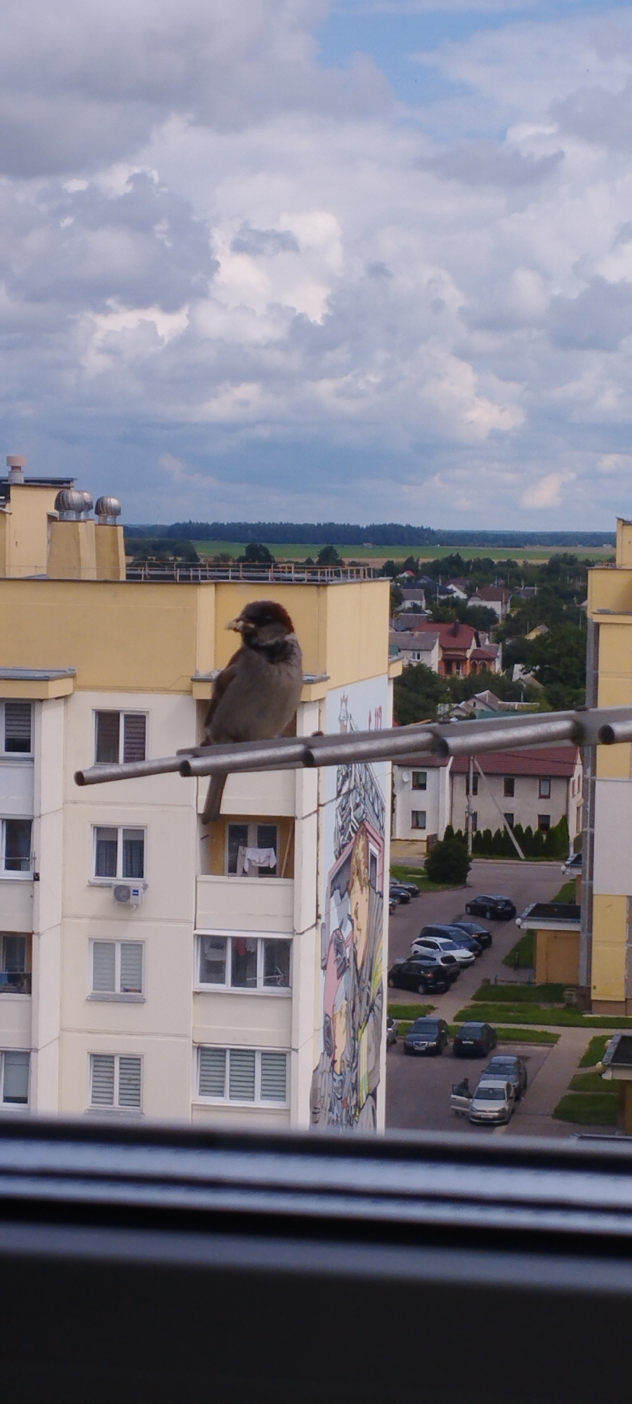 A medium shot, vertical image captures a sparrow perched on a horizontal metal bar in front of a pale yellow apartment building in Skidzieĺ, Belarus. The bird is facing left, with its head turned slightly to the right, and appears to be eating. Behind the bird, the apartment building features several windows and an air conditioning unit. A large mural is visible on the side of the building, depicting stylized figures. To the right of the building, a street is lined with parked cars and houses with red roofs. In the background, a green landscape with trees and fields stretches to the horizon under a cloudy sky. The foreground shows a blurred dark surface, likely a window frame or ledge.
