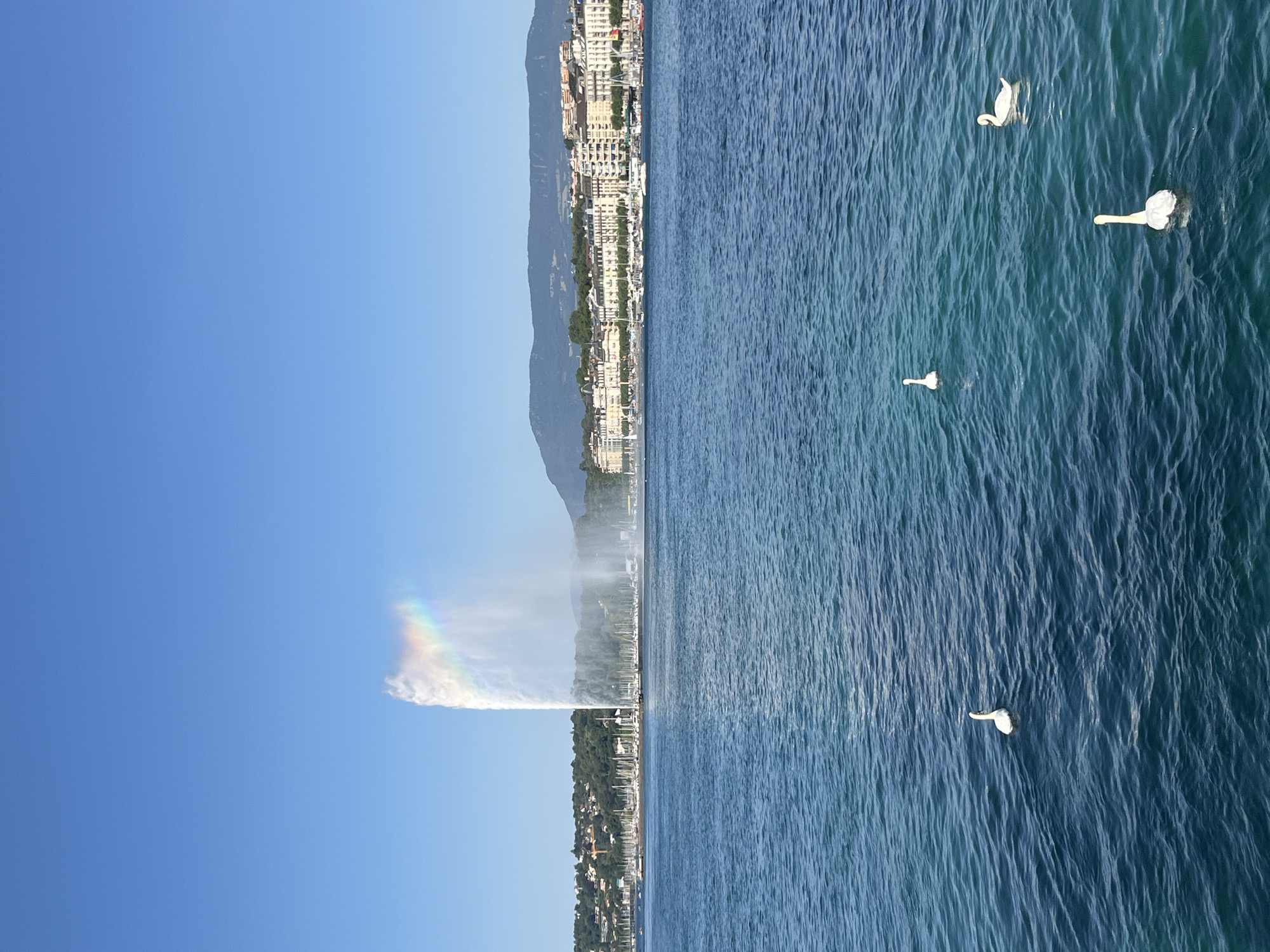 This image captures a wide-angle view of Lake Geneva in the city of Geneva, Switzerland, on a clear day with a bright blue sky. In the center of the frame, a prominent water jet, known as the Jet d'Eau, shoots a powerful stream of water high into the air, creating a rainbow effect. In the background, a picturesque cityscape lines the lakefront, featuring a mix of buildings and a dense collection of sailboats moored in a harbor. Beyond the city, rolling green hills and a distant mountain range form the backdrop. In the foreground, four white swans are gracefully swimming on the tranquil, blue waters of the lake, adding a natural element to the urban and scenic panorama.