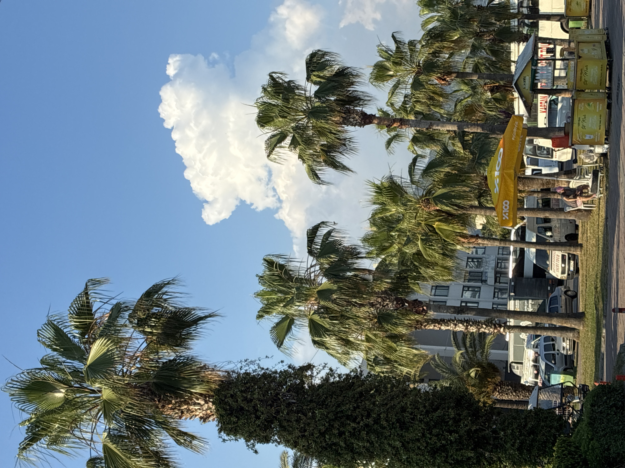 This image depicts a street scene in Alanya, Turkey, characterized by a prominent line of palm trees lining the foreground. Behind the palm trees, a multi-story building with a light-colored facade and numerous windows is visible, suggesting an urban environment. In the middle ground, several vehicles, including vans and cars, are parked. A yellow umbrella, branded with "Yüzde100," provides shade for a small vendor cart. Next to the vendor cart, a person is seated on a white chair, appearing to be resting or waiting. The sky above is a clear blue, with a few scattered white clouds, indicating fair weather. The overall scene suggests a warm, sunny day in a coastal city.