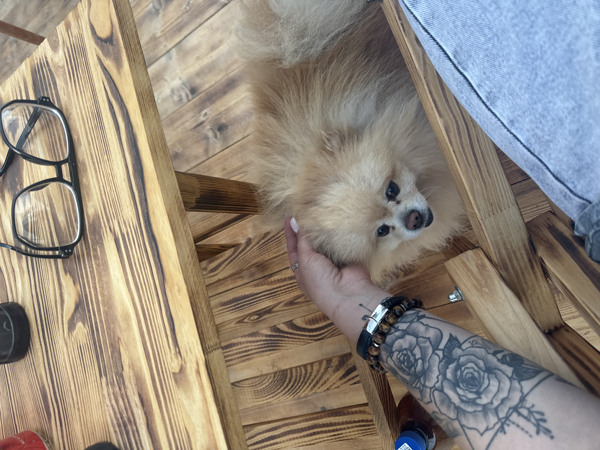 A Pomeranian dog is being petted under a wooden table on a wooden deck. The dog has light brown fur and is looking towards the viewer. A person's tattooed arm, wearing bracelets, is visible petting the dog. A pair of glasses and a bottle are on the table. The overall setting appears to be outdoors in the city of Russkaya Borkovka, Russia.