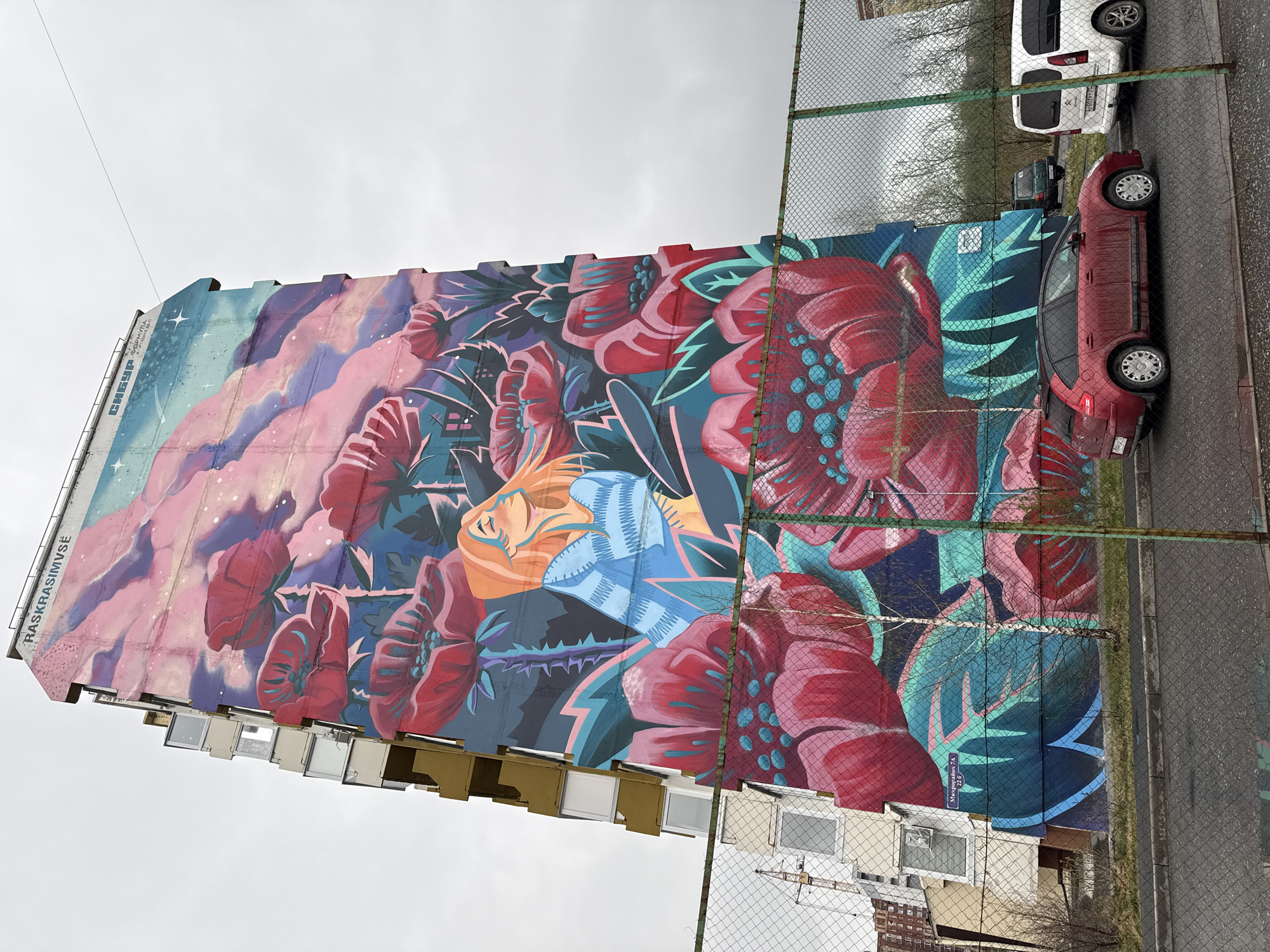The image shows a tall building in Tobolsk, Russia, adorned with a large mural depicting stylized flowers and cloudscapes. The mural covers the entire side of the building, from ground level to the top. The sky in the mural is blue and pink with stars. The flowers are predominantly red, with green and blue leaves.
A chain-link fence runs parallel to the building, partially obscuring the lower part of the mural. Behind the fence is a parking area with a red and a white car. The weather appears overcast, with a gray sky visible above the building and in the background. Some smaller buildings are visible behind the mural. There is a sign on the side of the building that reads "RASKRASIMVSE" and some Cyrillic text.
