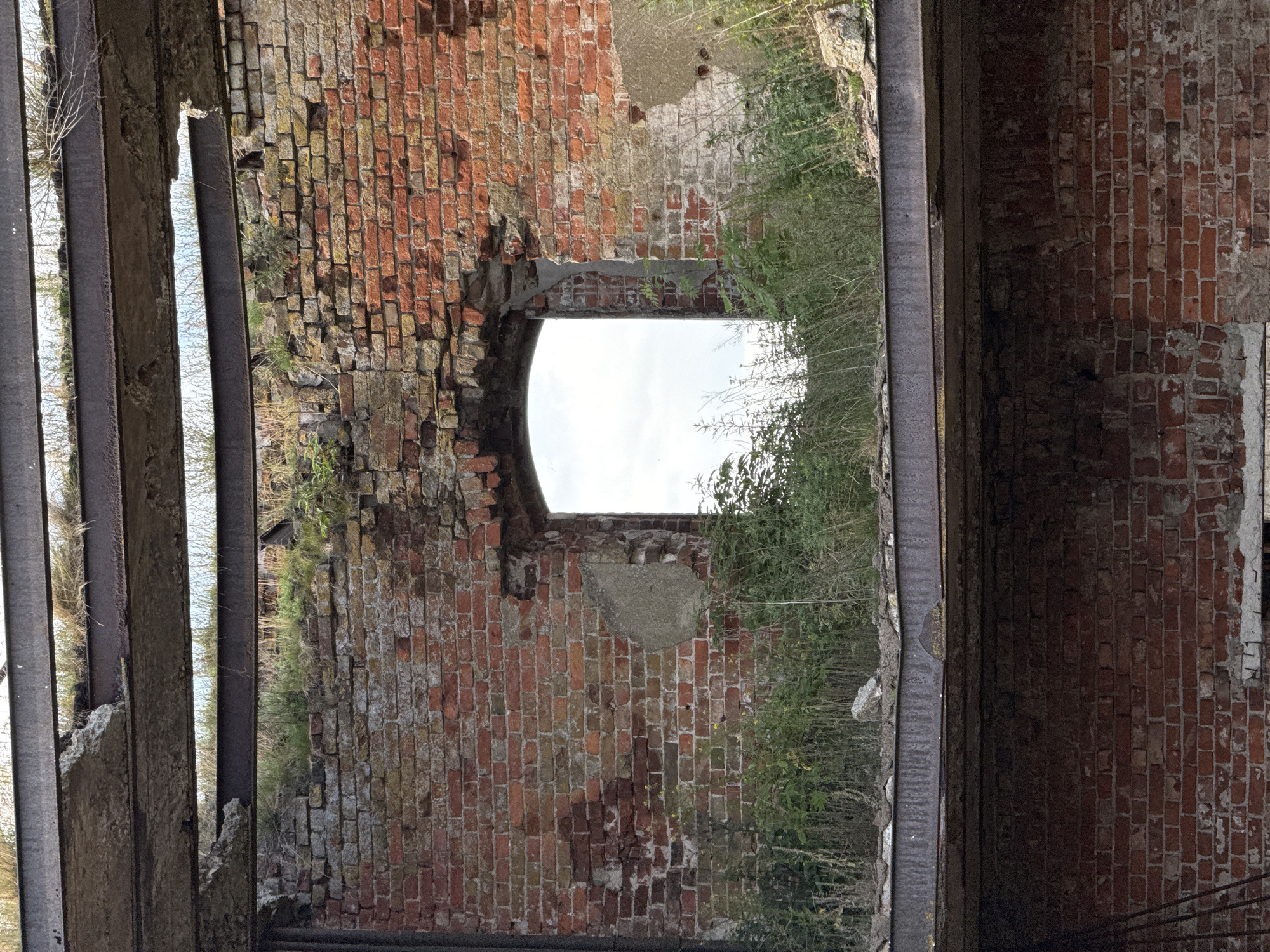 The image depicts the interior of a derelict brick structure, likely an industrial building, in Shlisselburg, Russia. Vertical steel beams frame the scene, suggesting the former presence of floors or a roof. The brick walls are weathered and crumbling, with patches of missing mortar and exposed areas. A large, arched opening in the central brick wall reveals a bright, overcast sky and overgrown vegetation. Lush green plants and thin branches are seen growing from within the structure and through gaps in the walls, indicating a natural reclamation of the space. The time of day appears to be daytime, with diffused light illuminating the scene. The overall atmosphere is one of decay and abandonment, with nature gradually consuming the man-made structure. No people are visible, and no text is present in the image. The setting suggests a forgotten or disused industrial site that is now being overtaken by the surrounding environment.