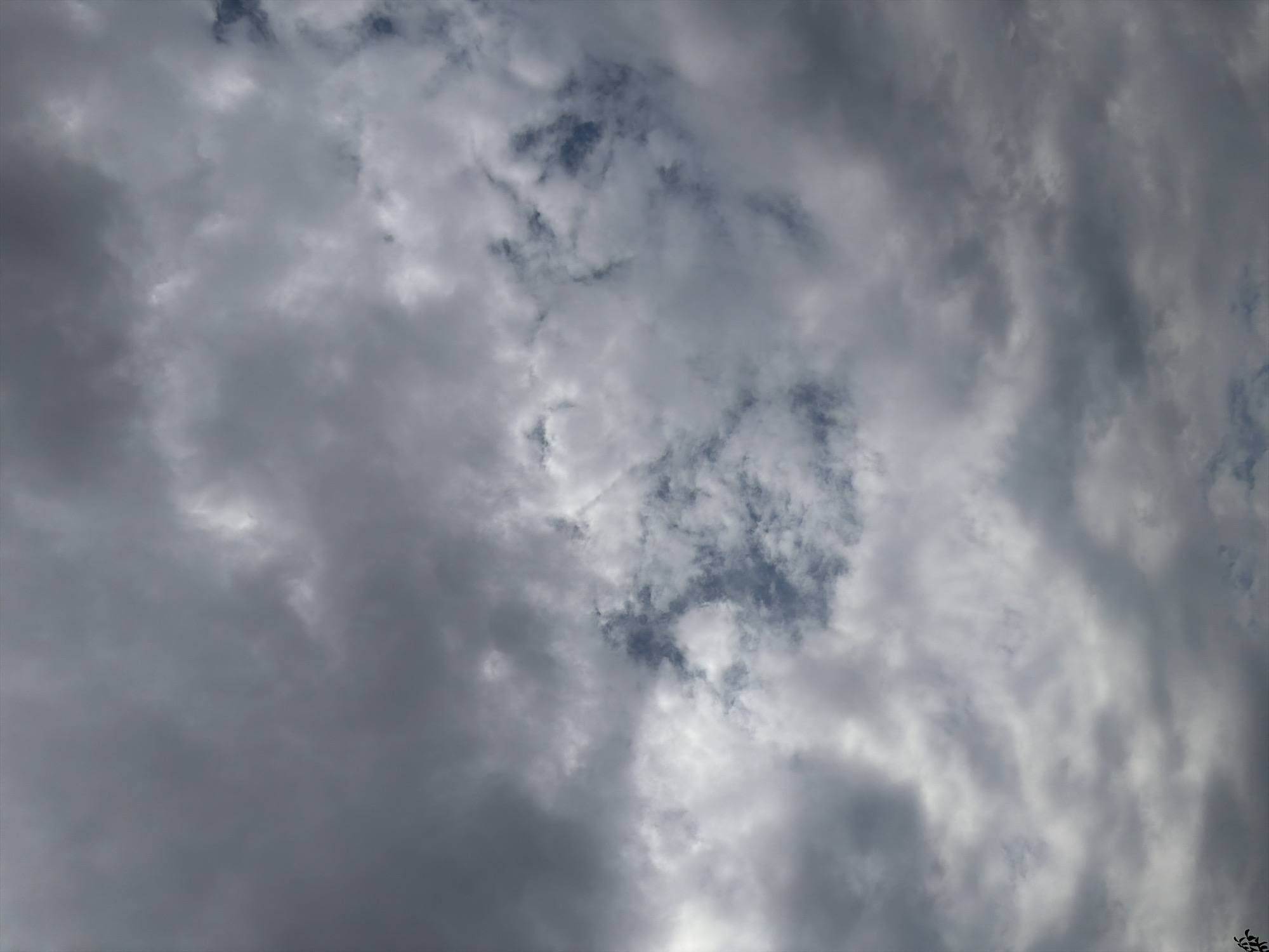 The image shows a cloudy sky over Oxentea, Moldova. The clouds are dense and range in color from light gray to dark gray, with patches of blue sky visible in some areas. The lighting suggests it is daytime, possibly overcast. There are no people, subjects, or specific objects clearly identifiable in the image, other than the clouds and a hint of dark foliage at the bottom left corner, likely trees. The environment depicted is solely the sky.