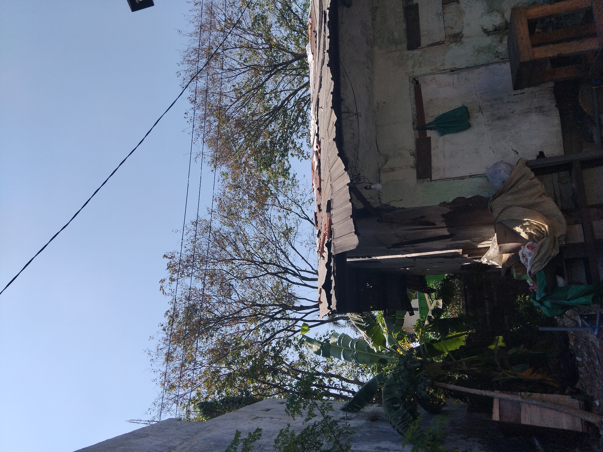 The image captures a view of a weathered, corrugated metal roof structure against a clear blue sky. Trees with sparse foliage are visible behind the roof, and a concrete wall runs along the left side of the frame. The building appears to be in a state of disrepair, with peeling paint and exposed structural elements. A green bag hangs on a door or wall. The scene suggests a simple, possibly rural or semi-urban environment. The location is identified as Berbek, Indonesia.