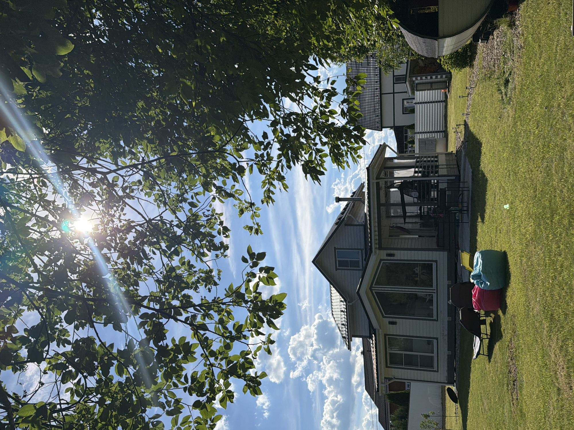 The image depicts a bright, sunlit backyard in Aleskino DP, Russia, framed by lush green tree branches and leaves. In the foreground, a neatly mowed lawn is dotted with three beanbag chairs in vibrant pink, blue, and teal. Behind them, two folding chairs and a yellow chair are positioned on the grass. A light-colored, two-story house with a dark roof and large windows dominates the midground. A covered porch area extends from the house, featuring outdoor seating. Further back, a white fence encloses a section of the property, and another house with a dark roof is visible. To the right, a rounded, barrel-shaped sauna structure rests on wooden supports. The sky is a clear blue, with scattered white clouds, and the sun is prominently visible, casting a lens flare across the scene. The overall impression is one of a serene and well-maintained residential outdoor space on a sunny day.
