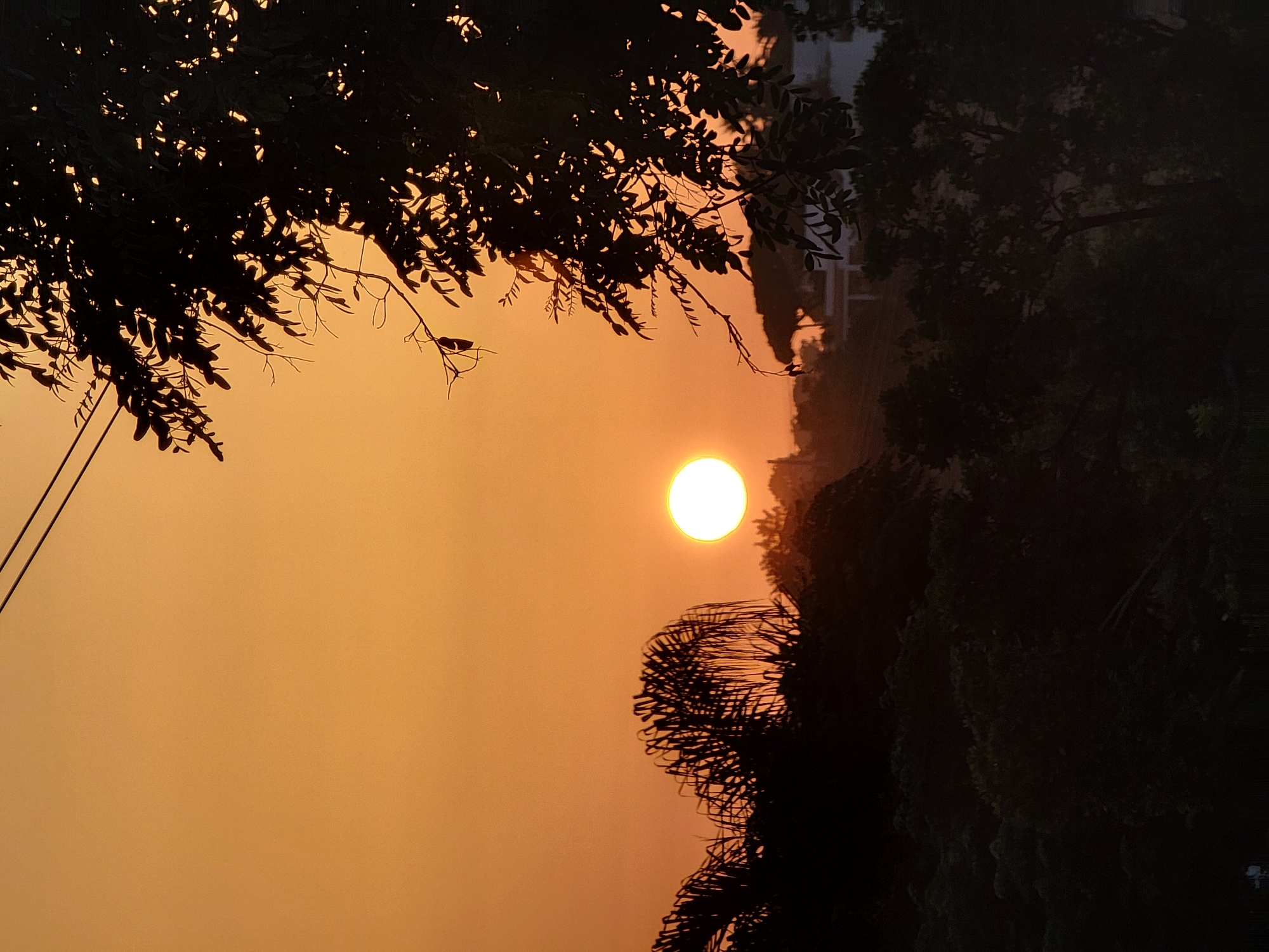 The image depicts a sunset over Quarteira, Portugal. The sun, a bright orange orb, is low in the sky, casting a warm glow over the scene. Silhouetted against the vibrant sky are the dark shapes of trees and foliage, including what appears to be a palm tree on the left. In the distance, structures and more trees are visible, also silhouetted. Power lines are present in the upper portion of the image. The overall impression is of a tranquil evening, with nature and human elements coexisting under the dramatic colors of the setting sun.