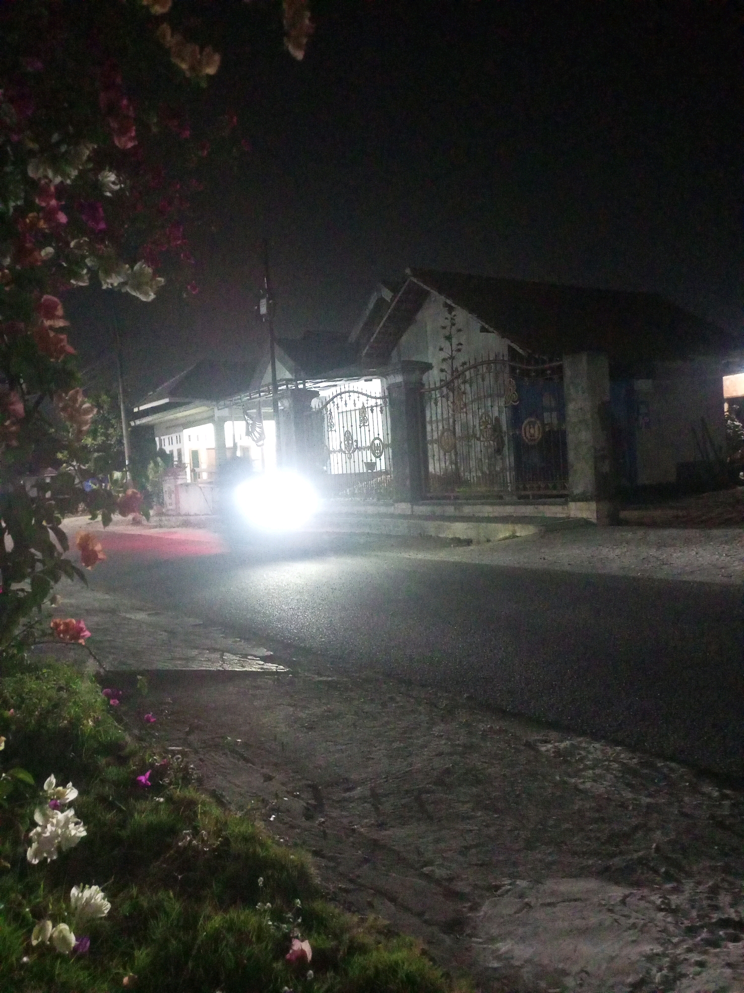 A nighttime outdoor shot captures a street scene in Ngasem, Indonesia. In the foreground, lush green grass is dotted with various flowers, including white, pink, and purple blossoms. The road surface appears wet, reflecting the surrounding lights. On the right side of the road, a house with a dark-tiled roof and a decorative metal gate is visible. The gate has intricate scrollwork and circular emblems. The house is illuminated by interior lights, and a bright headlight from an unseen vehicle shines directly at the camera, causing an overexposed glare in the center of the frame. The presence of a utility pole suggests urban or suburban infrastructure. The overall ambiance is dark, with artificial lights providing the primary illumination.