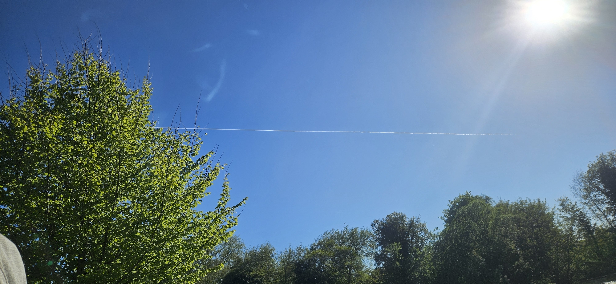 This is an upward-looking photograph capturing a bright, clear blue sky and lush green trees on a sunny day in Norwich, United Kingdom.
The upper portion of the image is dominated by the expansive, cloudless blue sky. A prominent, straight white contrail from an aircraft stretches horizontally across the mid-section of the sky, appearing slightly fainter towards the right. In the upper right corner, the sun is visible, creating a bright flare and radiating light rays, indicating strong sunshine. A few very faint, wispy cloud formations are discernable in the upper left quadrant of the sky.
The lower part of the image features the vibrant green foliage of trees. A large, deciduous tree with abundant, bright green leaves occupies the left side of the frame, its branches extending upwards into the sky. Some bare branch tips are visible at the very top of this tree. More trees, also with dense green leaves, are visible along the bottom edge and on the right side of the frame, suggesting a park-like or natural setting.
A small portion of a grey-colored shoulder or arm is faintly visible in the bottom-left corner, suggesting the presence of a person holding the camera or partially included in the shot.
The scene depicts a peaceful and bright daytime environment, likely mid-morning or afternoon, given the sun's position. The weather is clear and sunny. There is no visible text in the image.