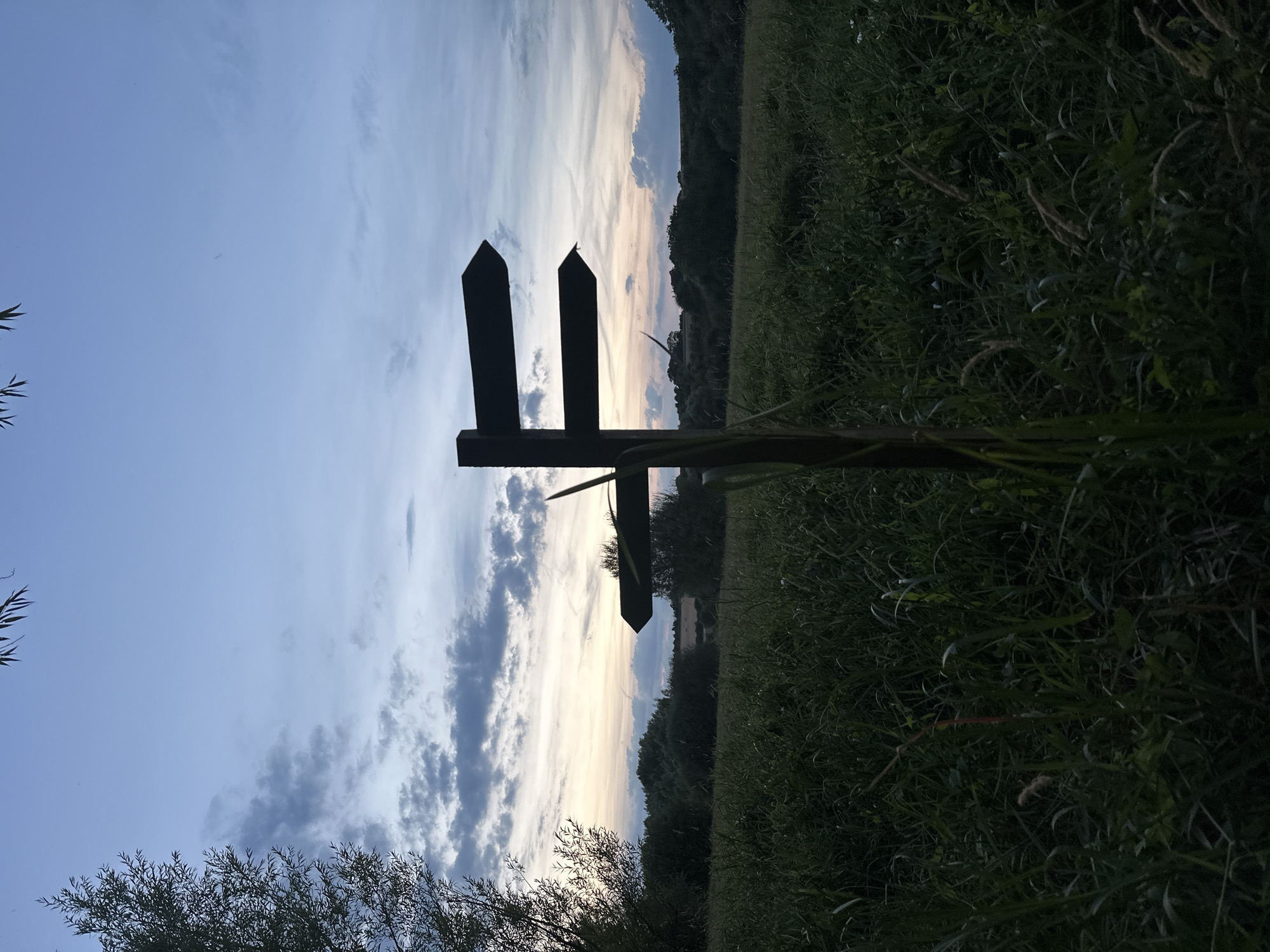 A wooden signpost with three directional arrows stands in a field of tall grass. The signpost is dark and silhouetted against a dusky sky with wispy clouds. The sky transitions from a pale orange and yellow near the horizon to a dusky blue overhead. In the distance, a line of trees borders the field, and a small windmill is visible among them. A tree with sparse foliage is on the left side of the frame. The overall scene depicts a rural or countryside landscape at dusk.
